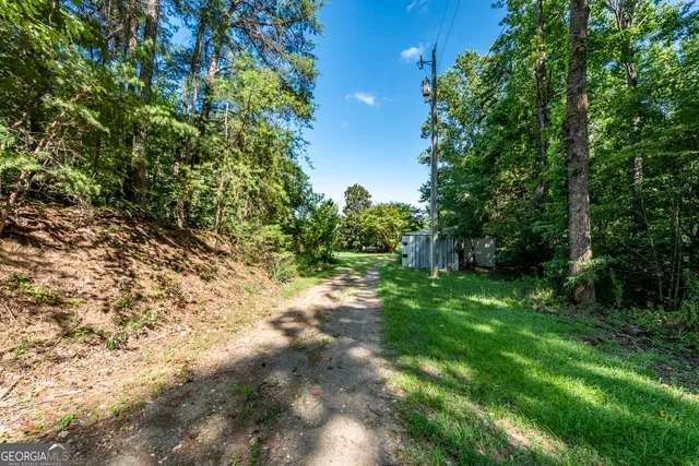 a view of a grassy field with trees