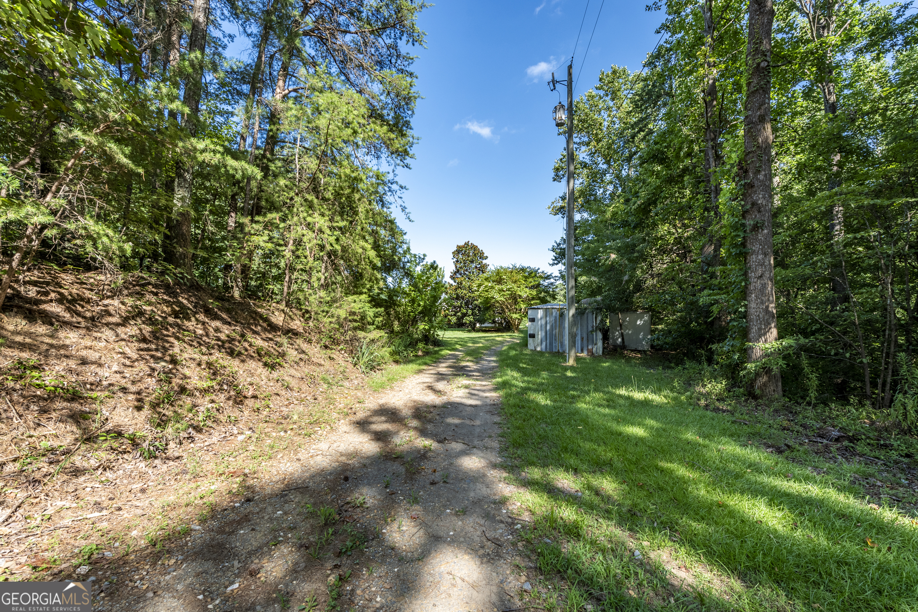 157 Edwards Road Fairmount, GA 30139 - Photo 10 of 72 a view of a yard with plants and a tree