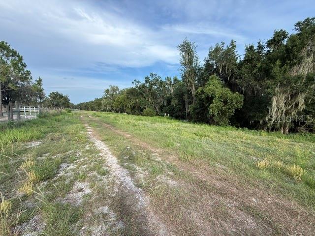 Pool Branch Road Fort Meade, FL 33841 - Photo 2 of 15 a view of a field with an trees in the background