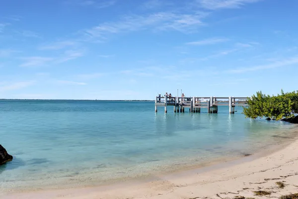 a view of swimming pool from a yard