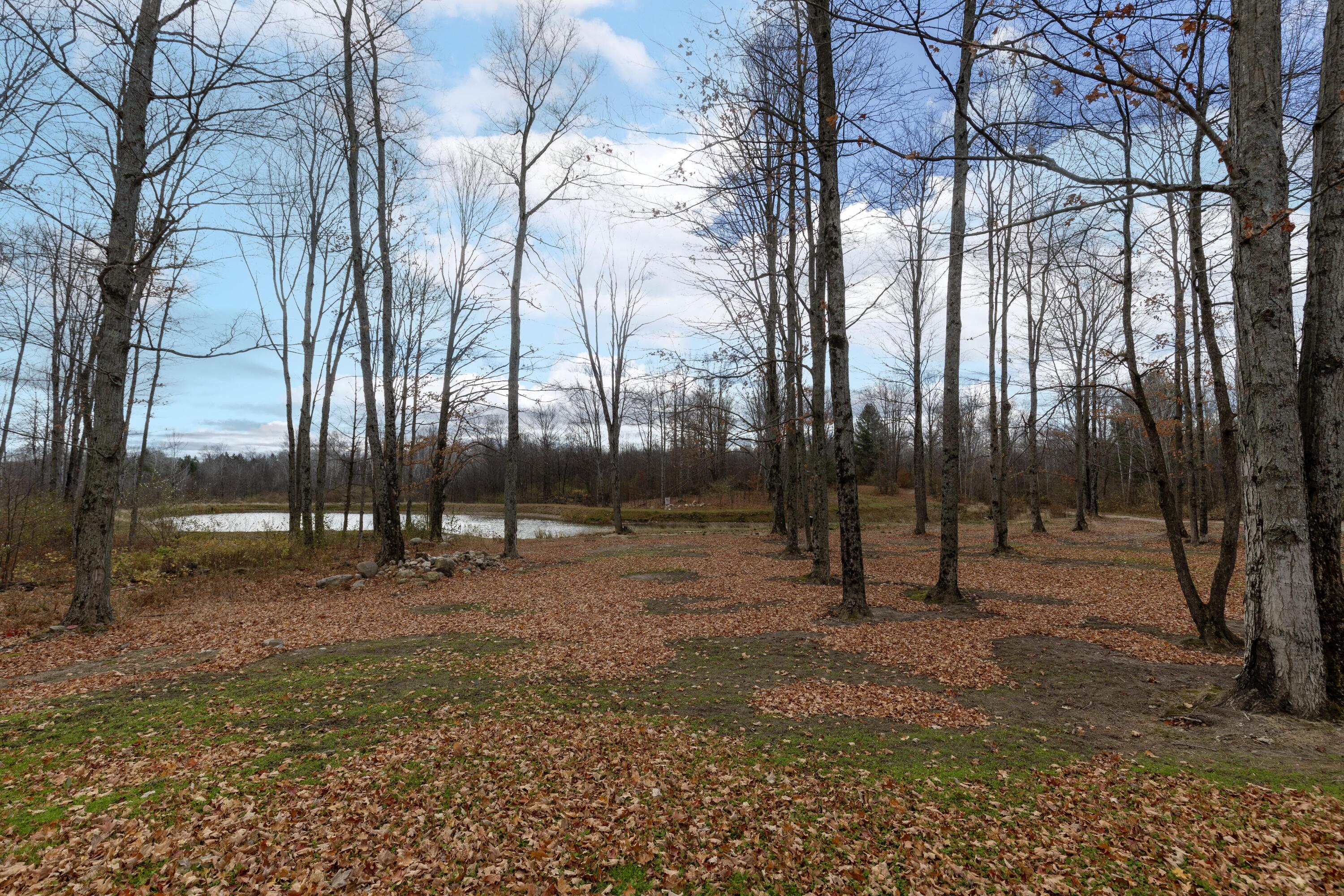 5616 Muma Road Gladwin, MI 48624 - Photo 19 of 79 011A0518 copy