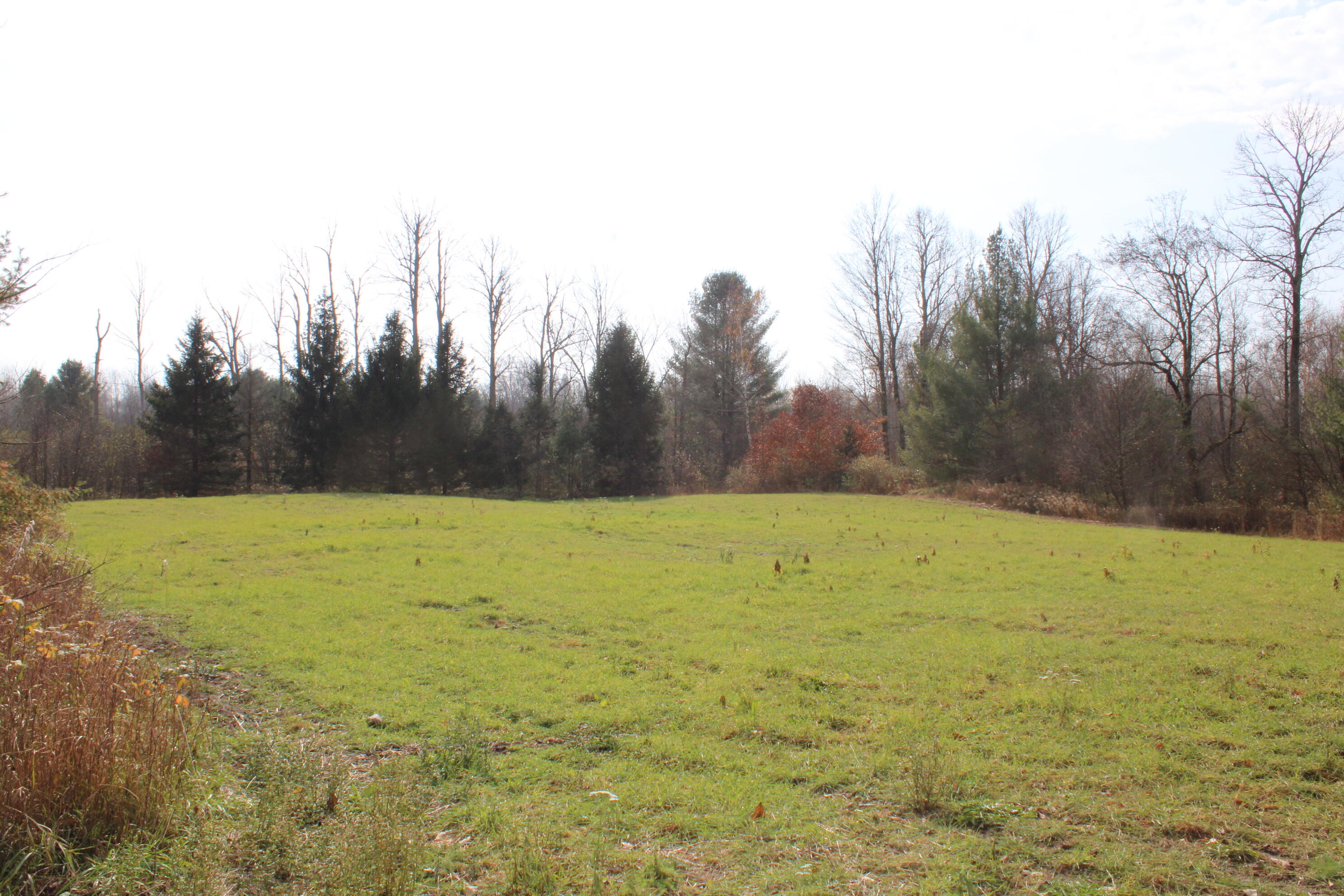 5616 Muma Road Gladwin, MI 48624 - Photo 58 of 79 IMG_4018