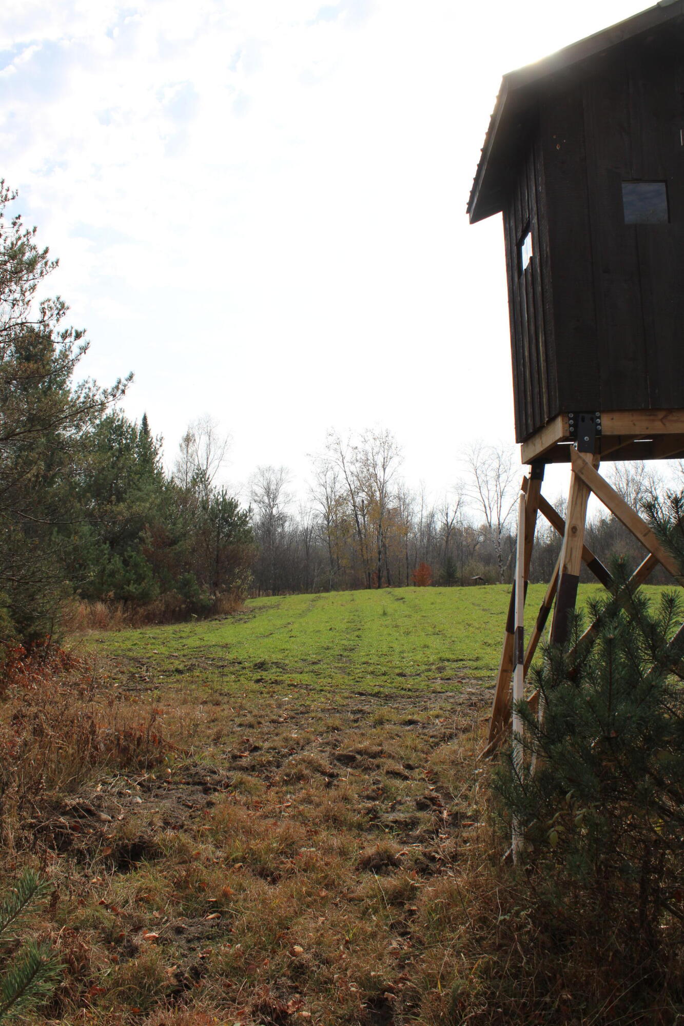 5616 Muma Road Gladwin, MI 48624 - Photo 60 of 79 IMG_4016