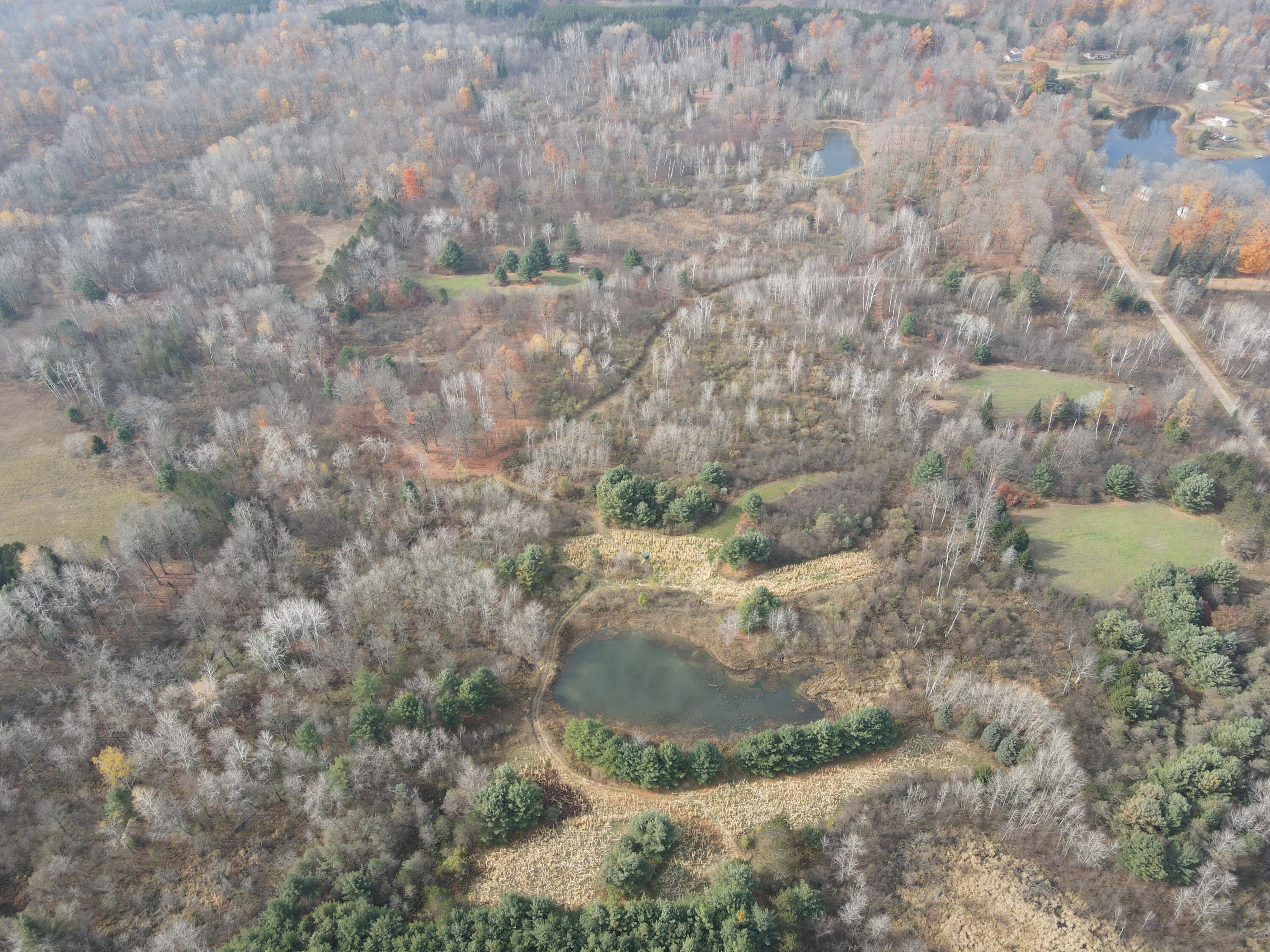 5616 Muma Road Gladwin, MI 48624 - Photo 65 of 79 DJI_0963