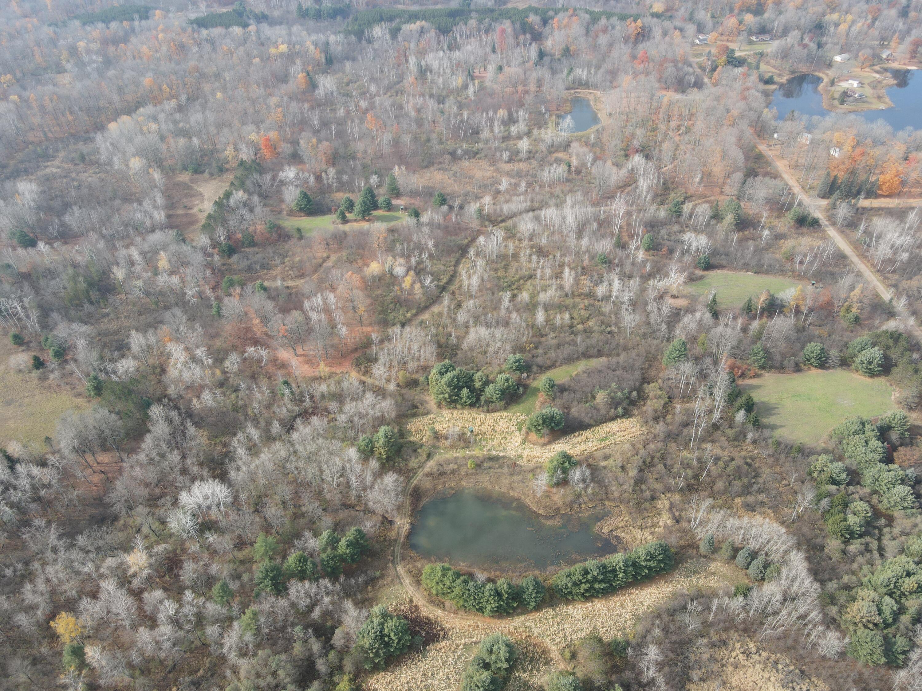 5616 Muma Road Gladwin, MI 48624 - Photo 66 of 79 DJI_0964