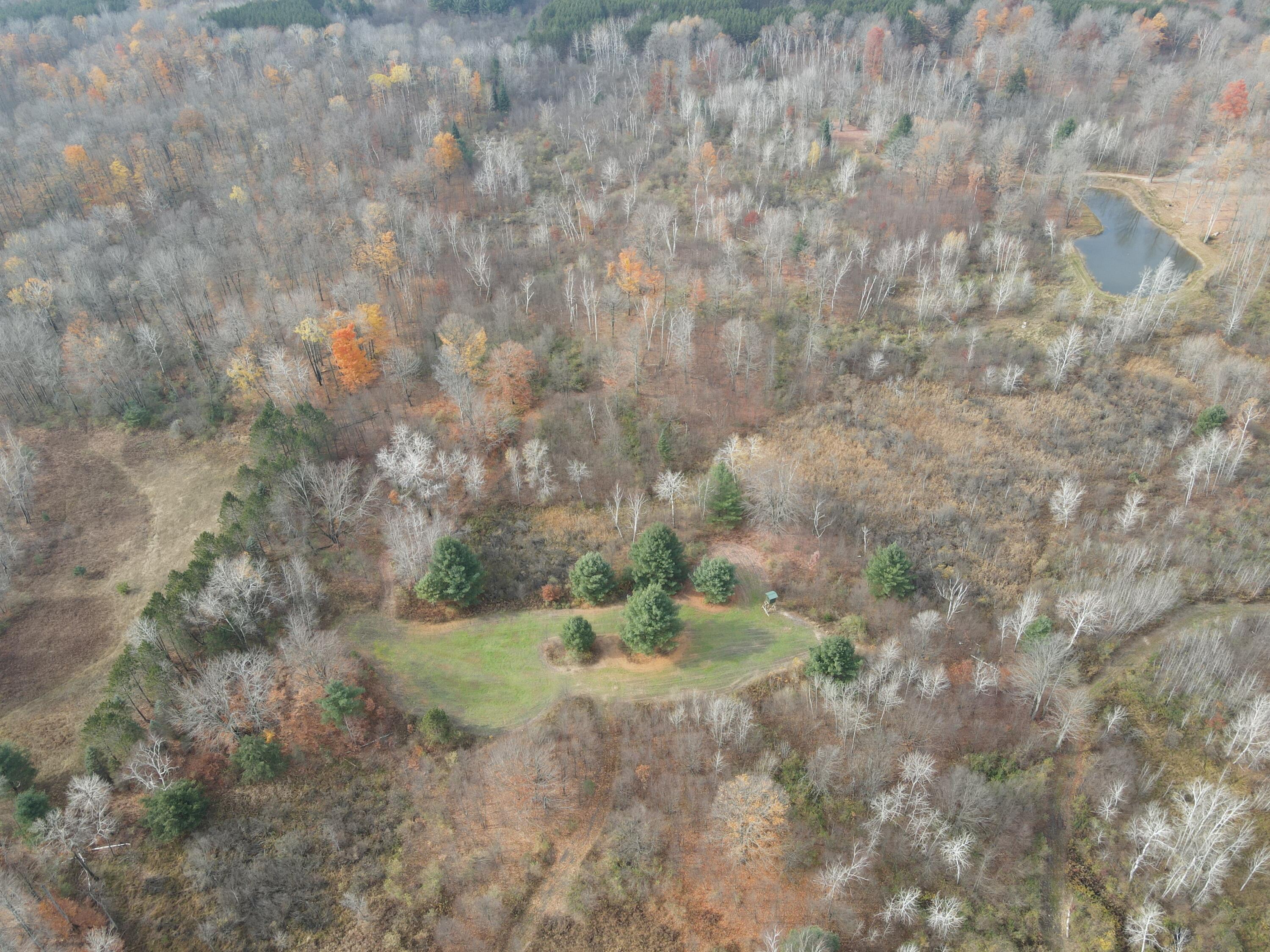 5616 Muma Road Gladwin, MI 48624 - Photo 68 of 79 DJI_0966