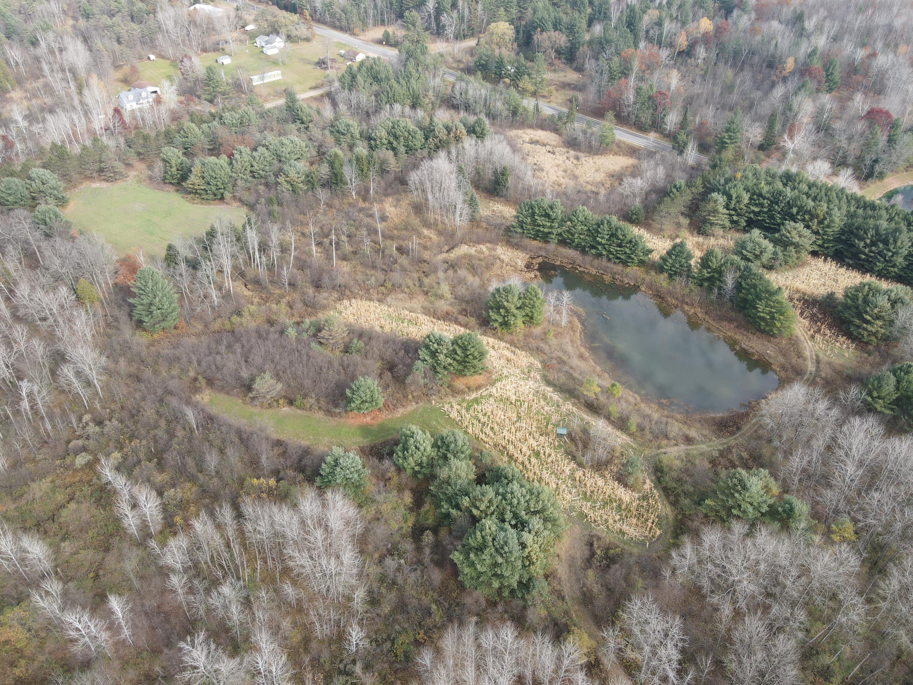 5616 Muma Road Gladwin, MI 48624 - Photo 69 of 79 DJI_0967