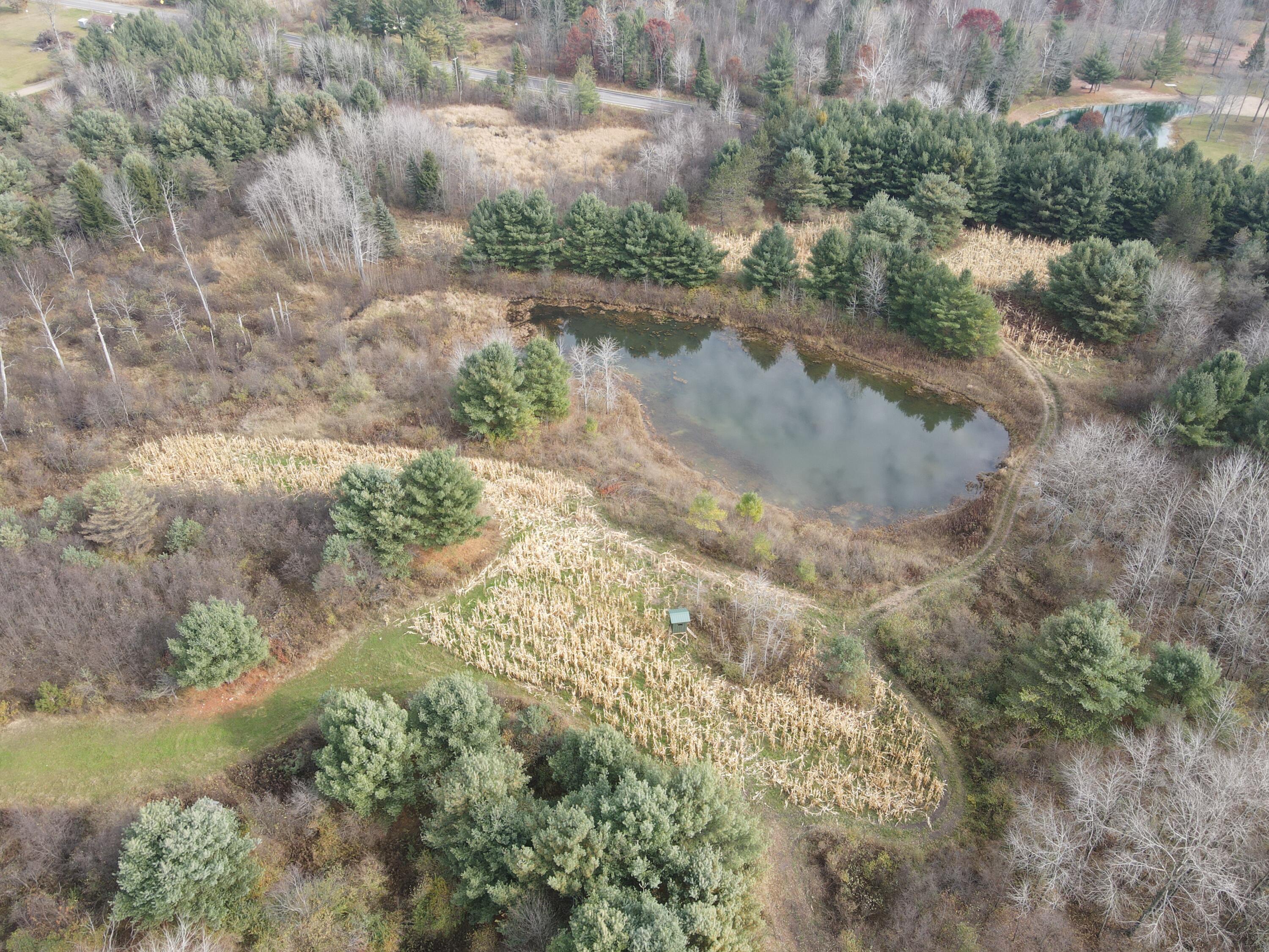 5616 Muma Road Gladwin, MI 48624 - Photo 70 of 79 DJI_0968