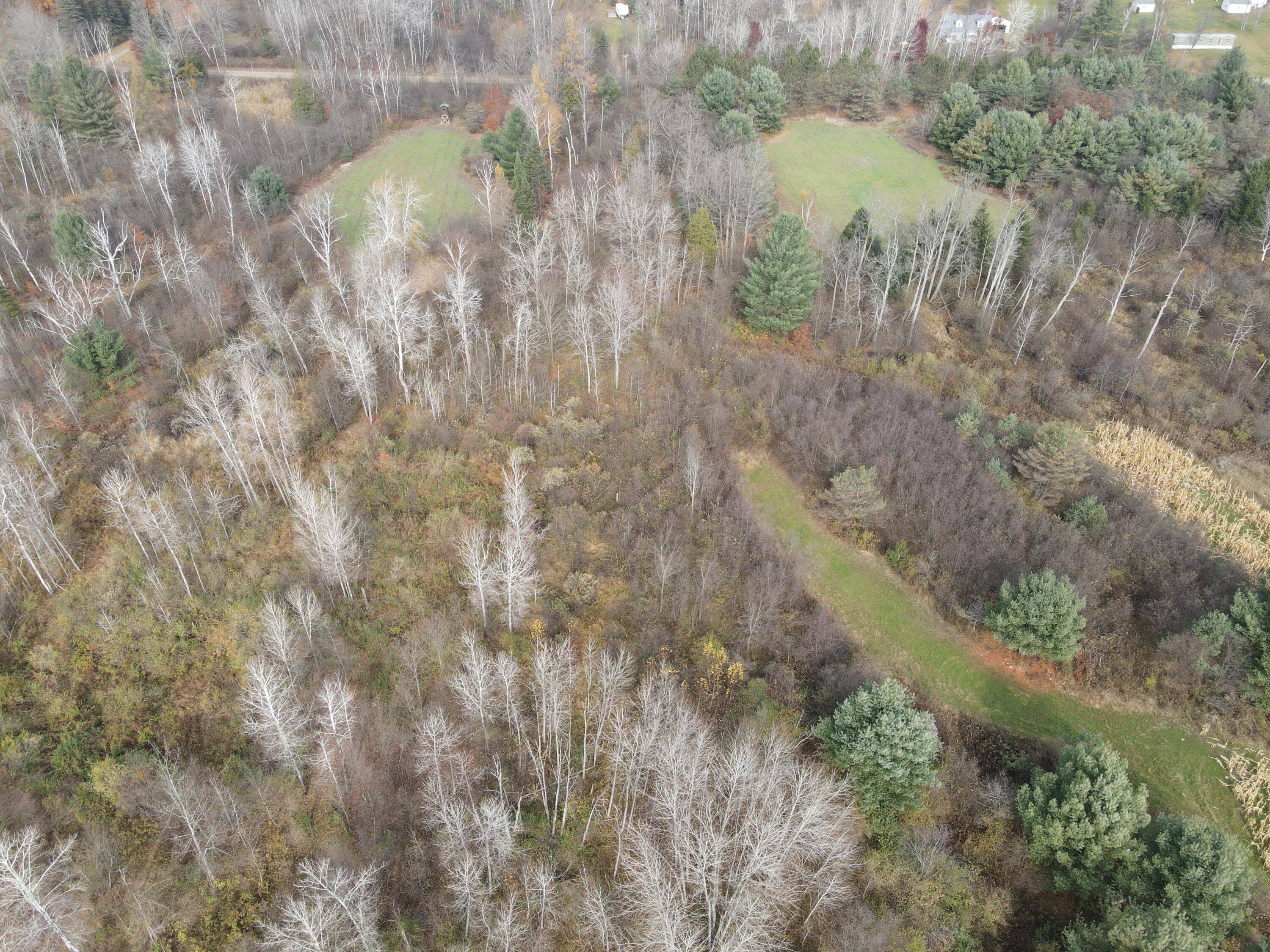 5616 Muma Road Gladwin, MI 48624 - Photo 71 of 79 DJI_0969