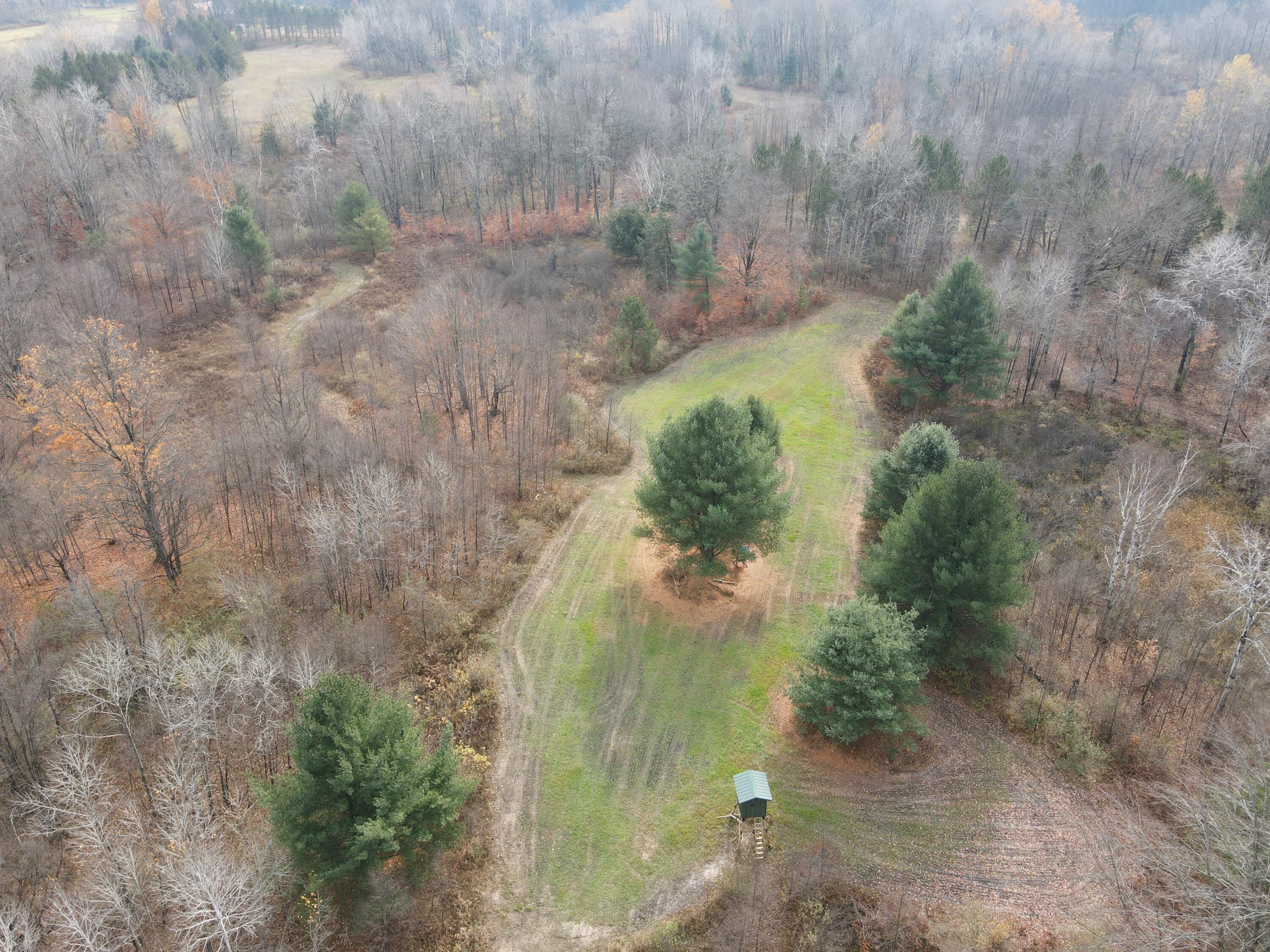 5616 Muma Road Gladwin, MI 48624 - Photo 72 of 79 DJI_0970