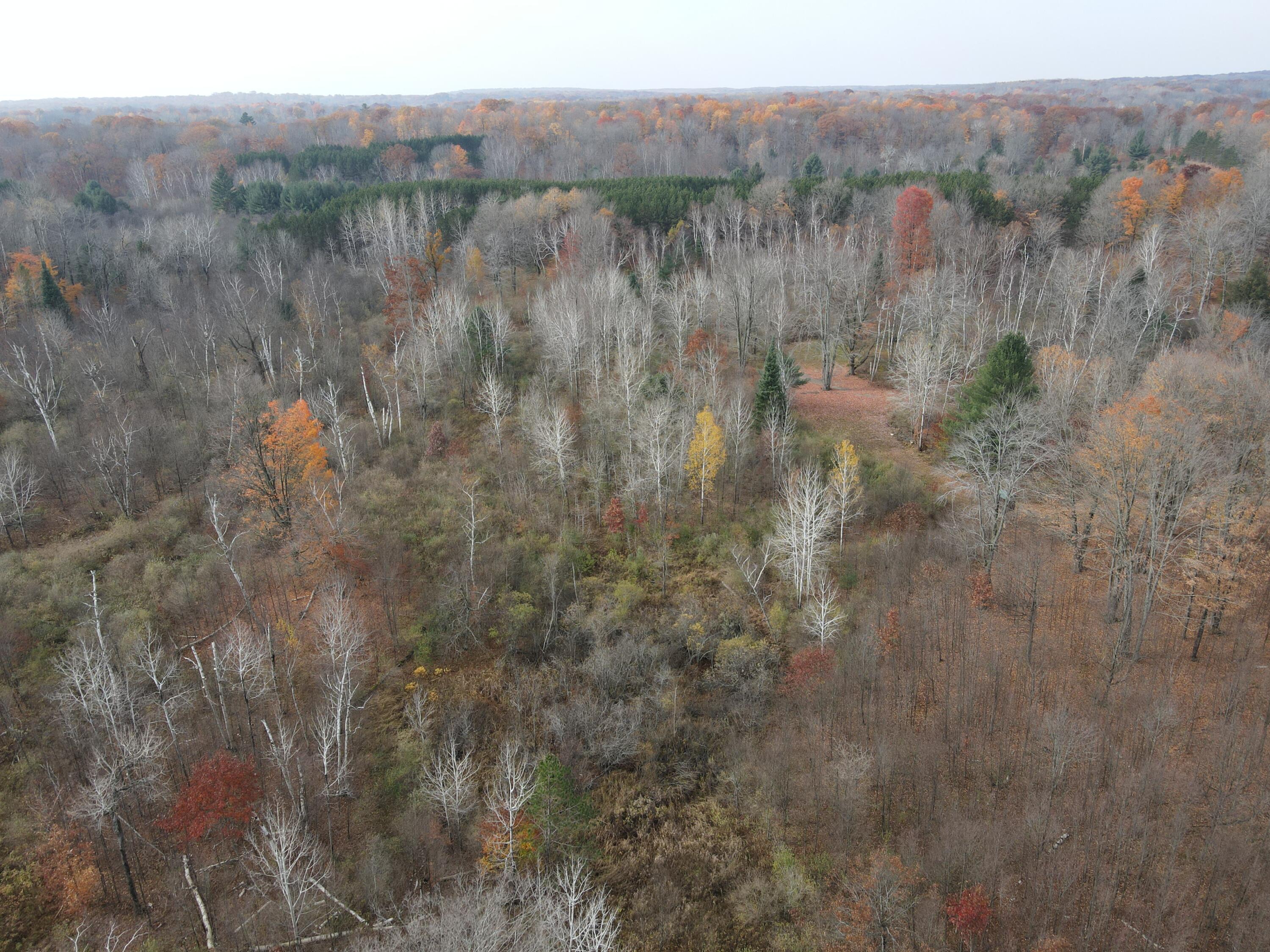 5616 Muma Road Gladwin, MI 48624 - Photo 73 of 79 DJI_0971