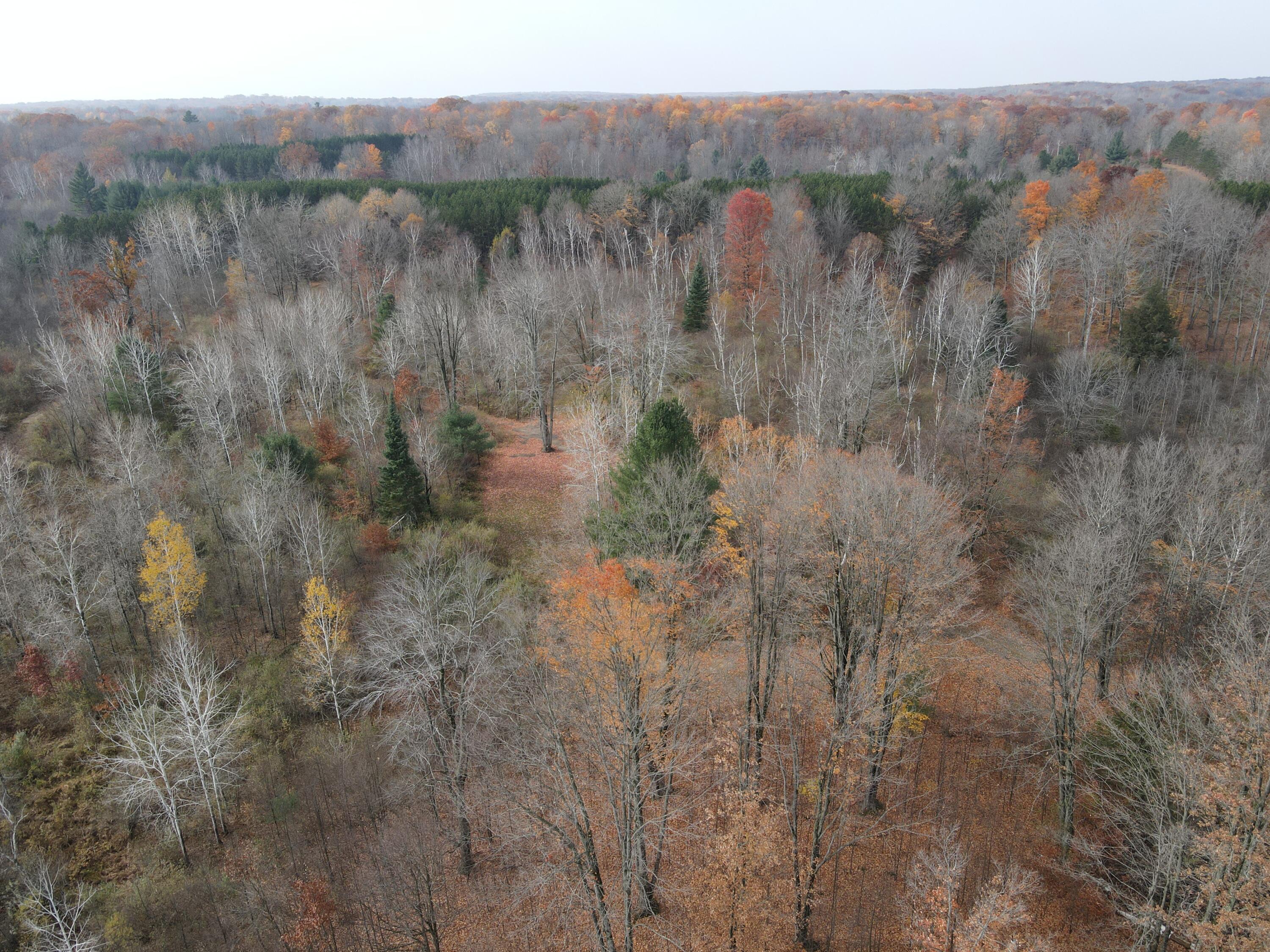 5616 Muma Road Gladwin, MI 48624 - Photo 75 of 79 DJI_0973