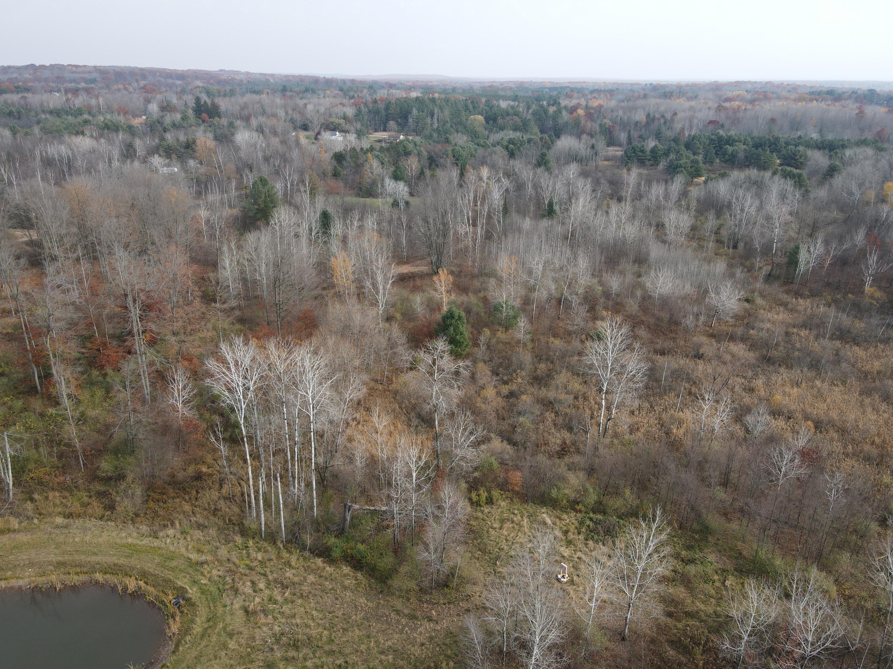 5616 Muma Road Gladwin, MI 48624 - Photo 76 of 79 DJI_0974