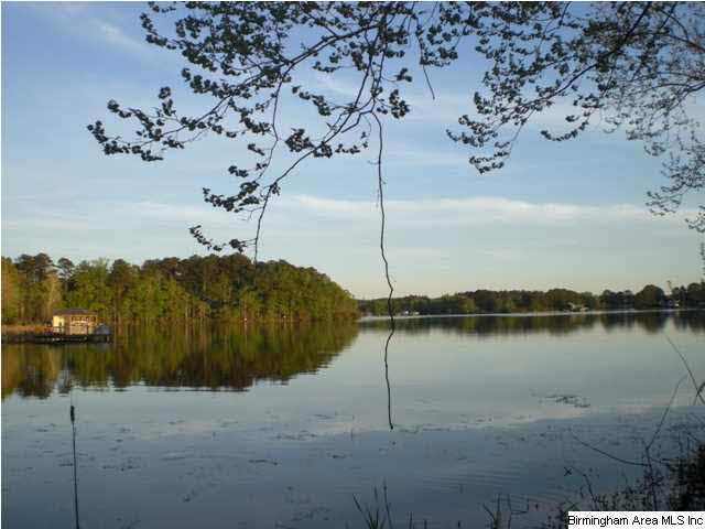 125 Farmstead Road, Unit 20A Wilsonville, AL 35186 - Photo 1 of 4