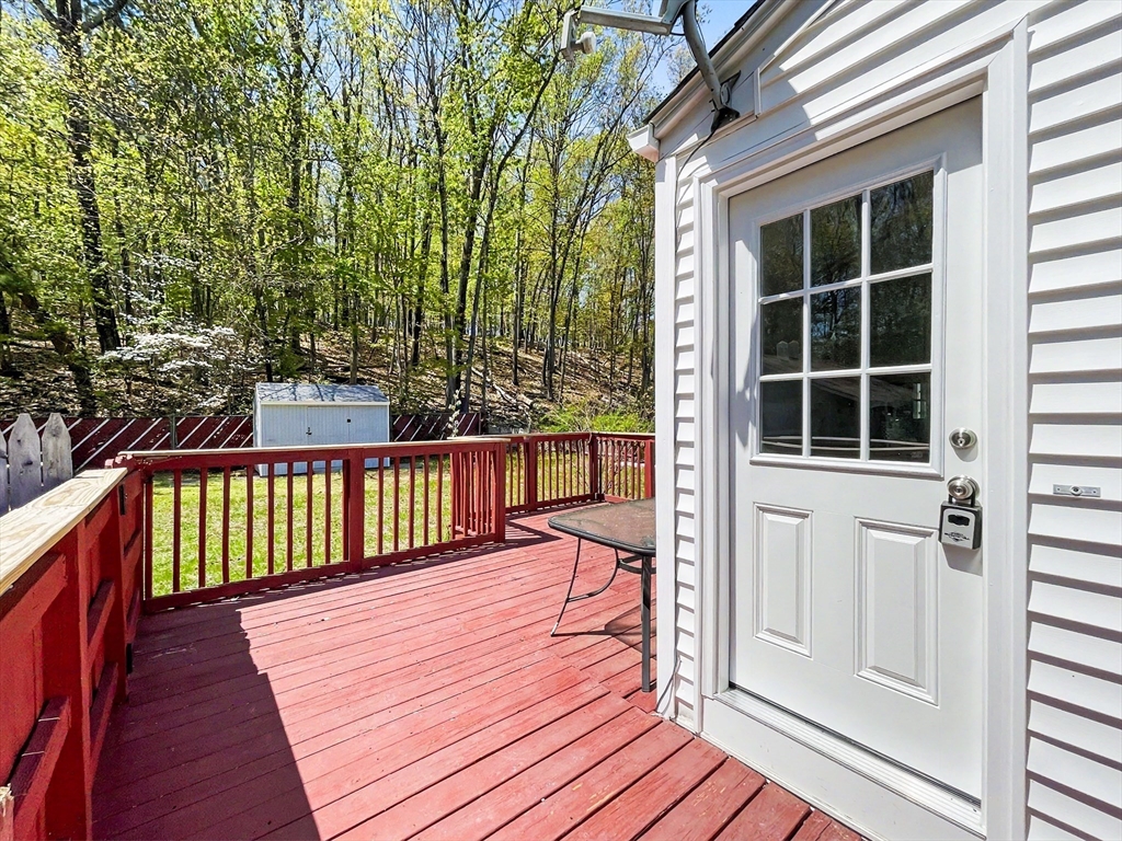 206 Treetop Avenue Springfield, MA 01118 - Photo 29 of 32