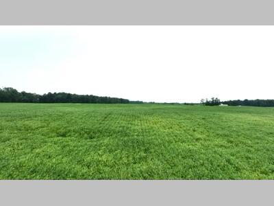 67070 Sweet Lake Road Sturgis, MI 49091 - Photo 46 of 57 Tract 4