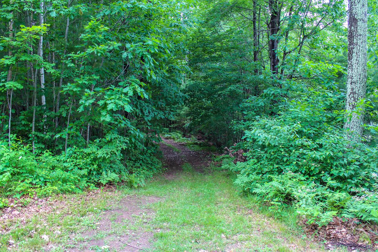 6870 Fire Tower Road Rhinelander, WI 54501 - Photo 44 of 64 Gallery Image 44