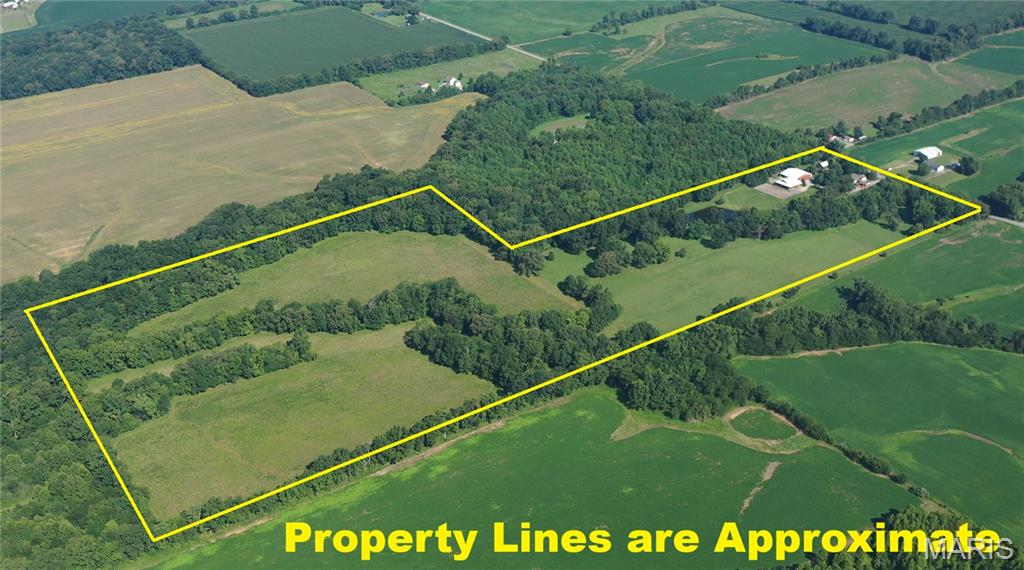 23036 Carlyle Road Thompsonville, IL 62890 - Photo 3 of 99