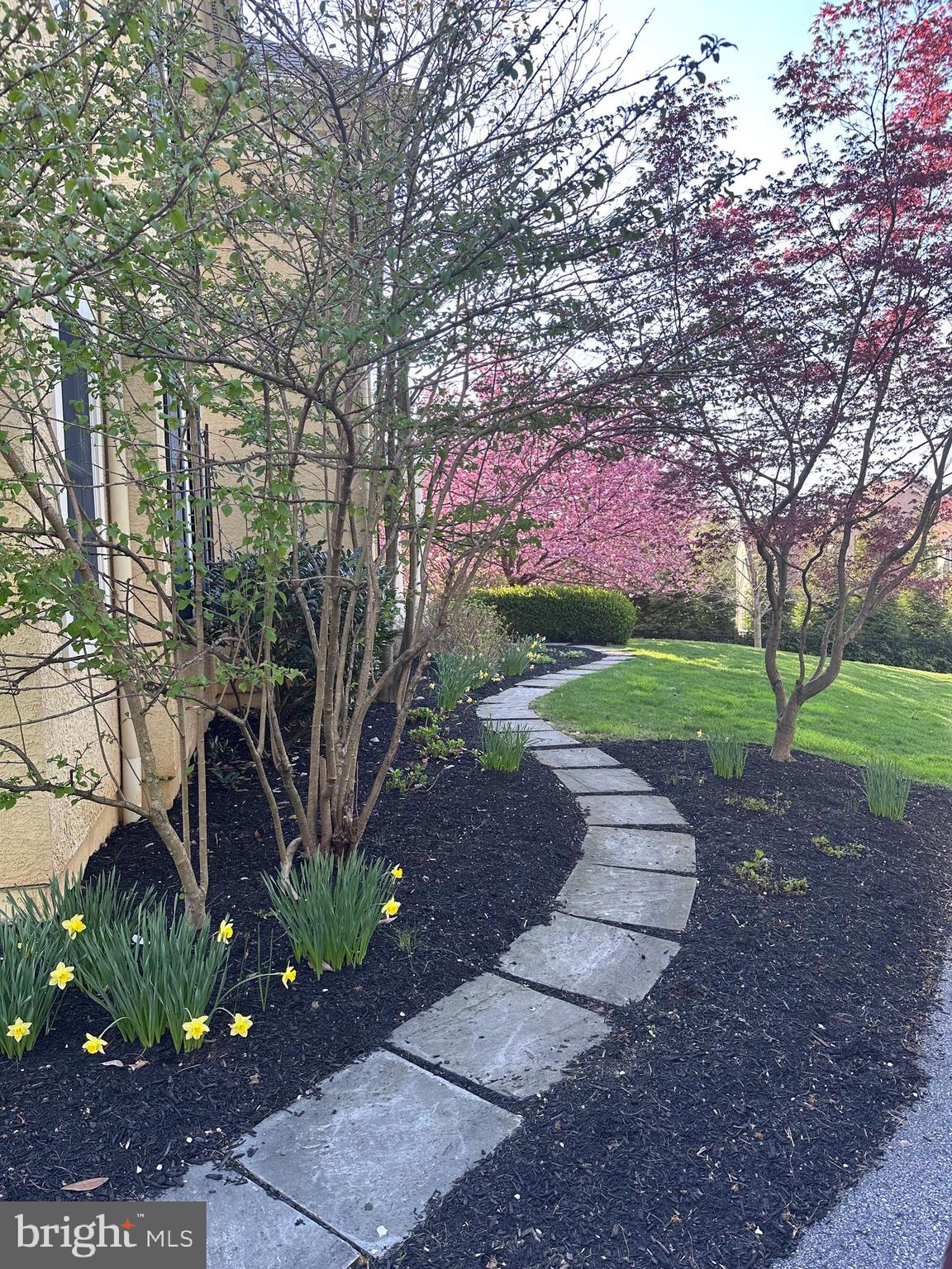 371 Trillium Lane Wayne, PA 19087 - Photo 43 of 43 a street view with large trees