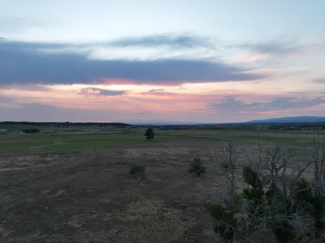 a view of a pathway with a yard