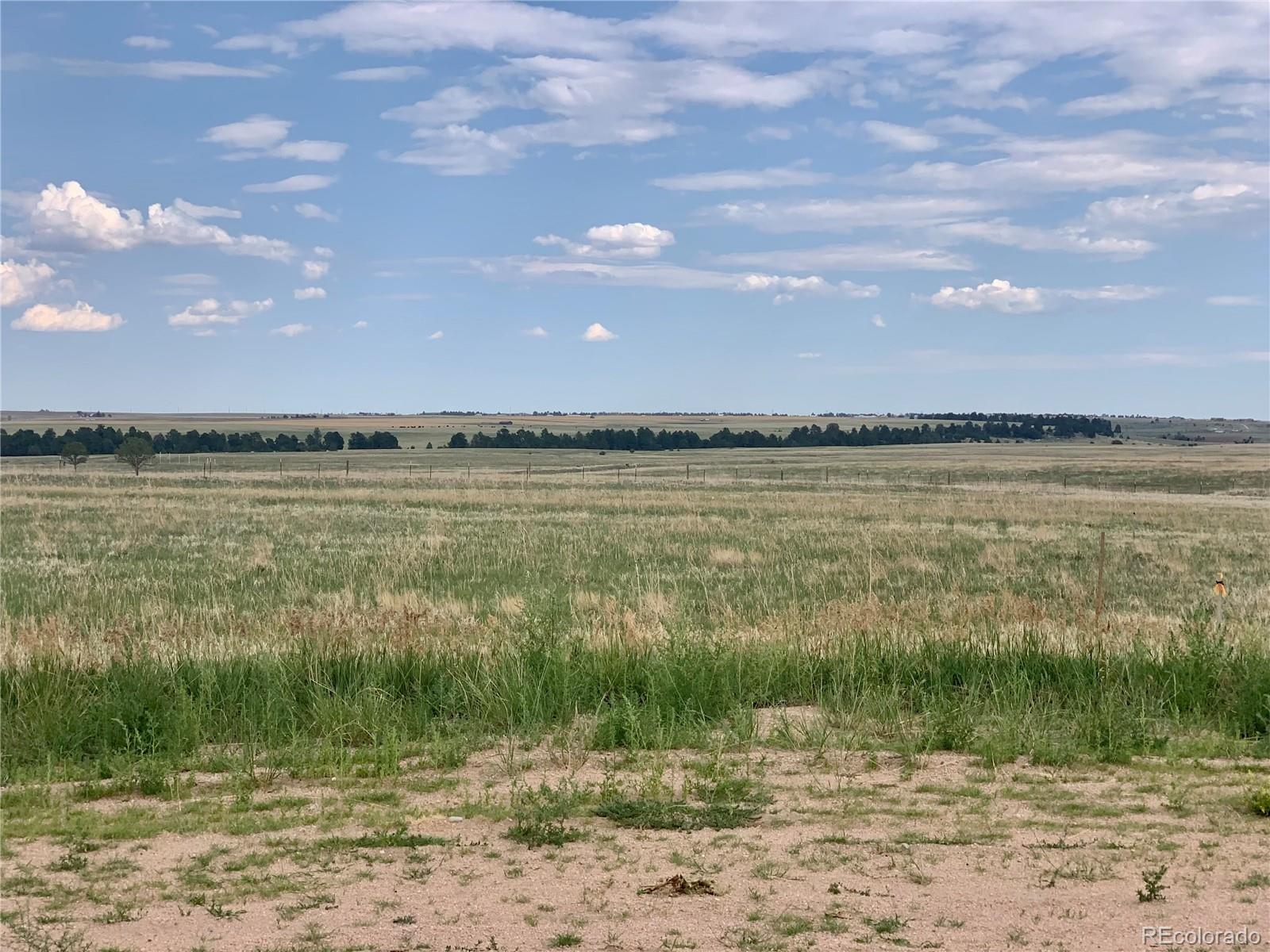 1496 Ridge Terrace Elbert, CO 80106 - Photo 2 of 3
