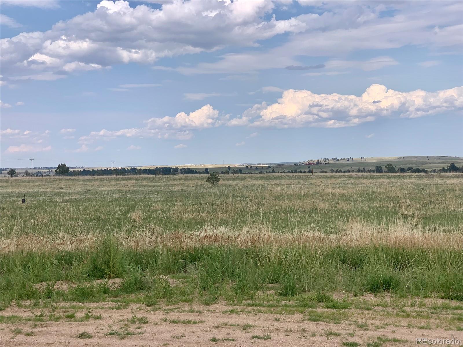 1496 Ridge Terrace Elbert, CO 80106 - Photo 3 of 3