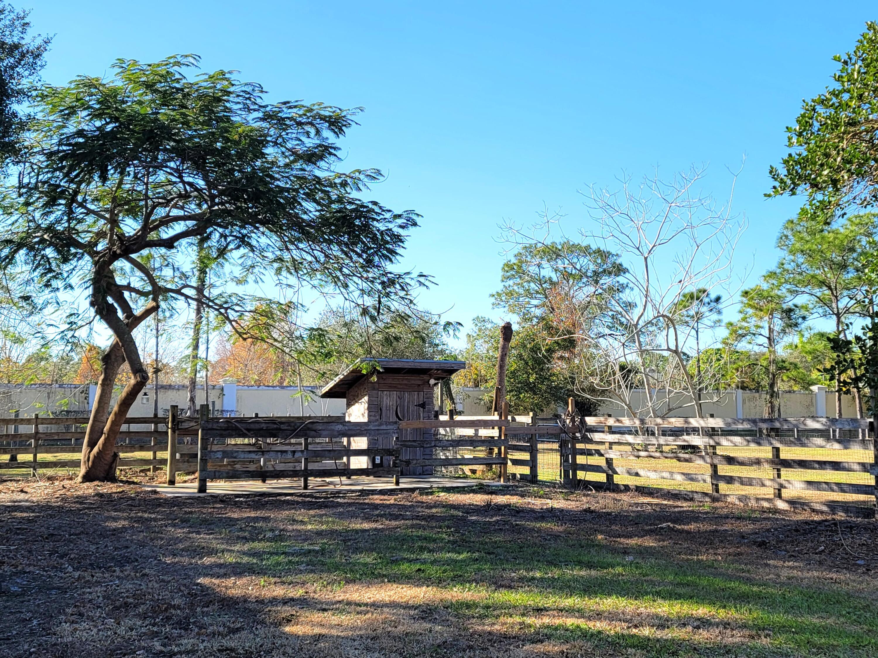 4362 West Midway Road Fort Pierce, FL 34981 - Photo 27 of 31 a view of a yard with plants and large trees