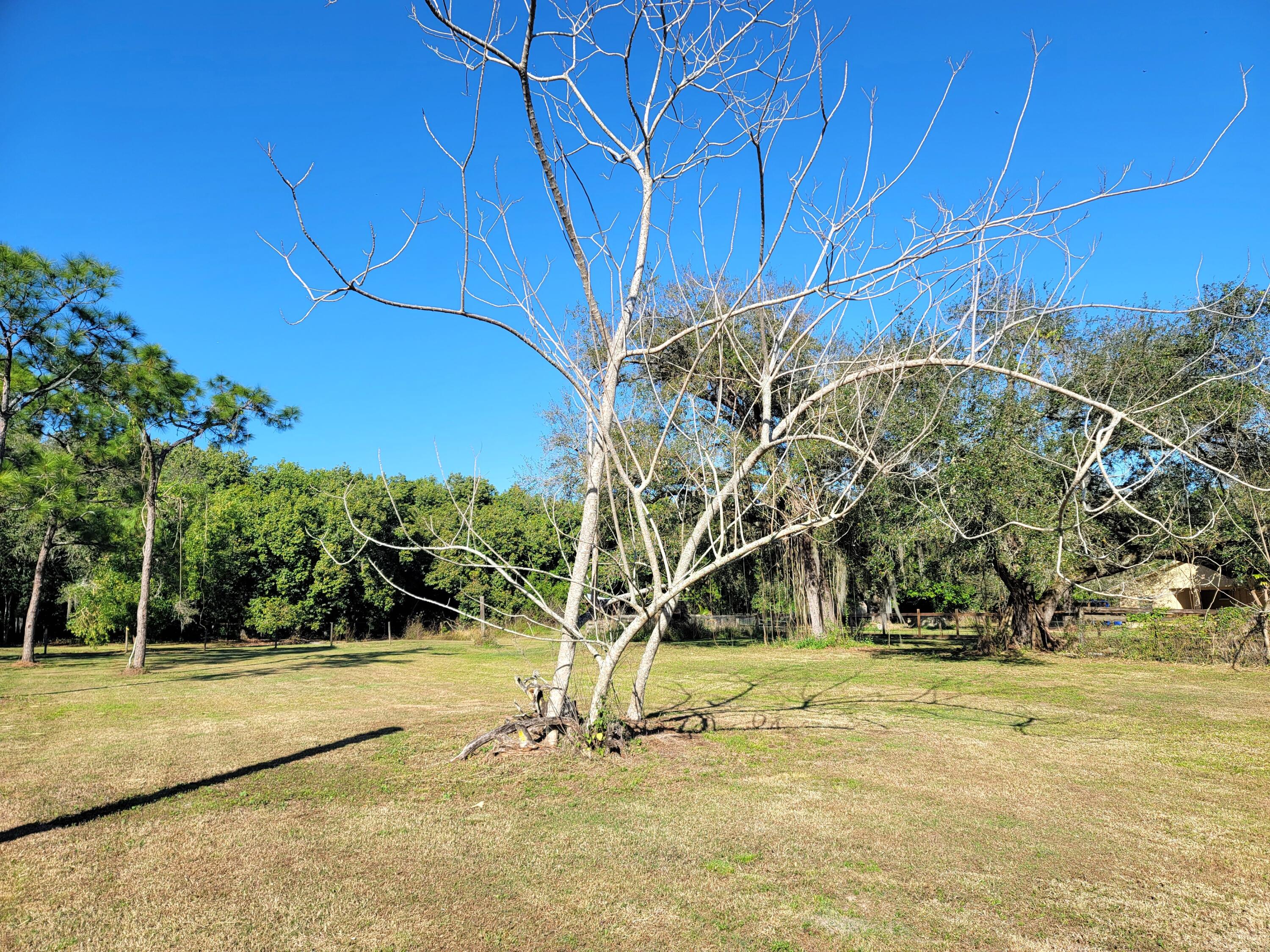4362 West Midway Road Fort Pierce, FL 34981 - Photo 28 of 31 a view of a yard with basketball court