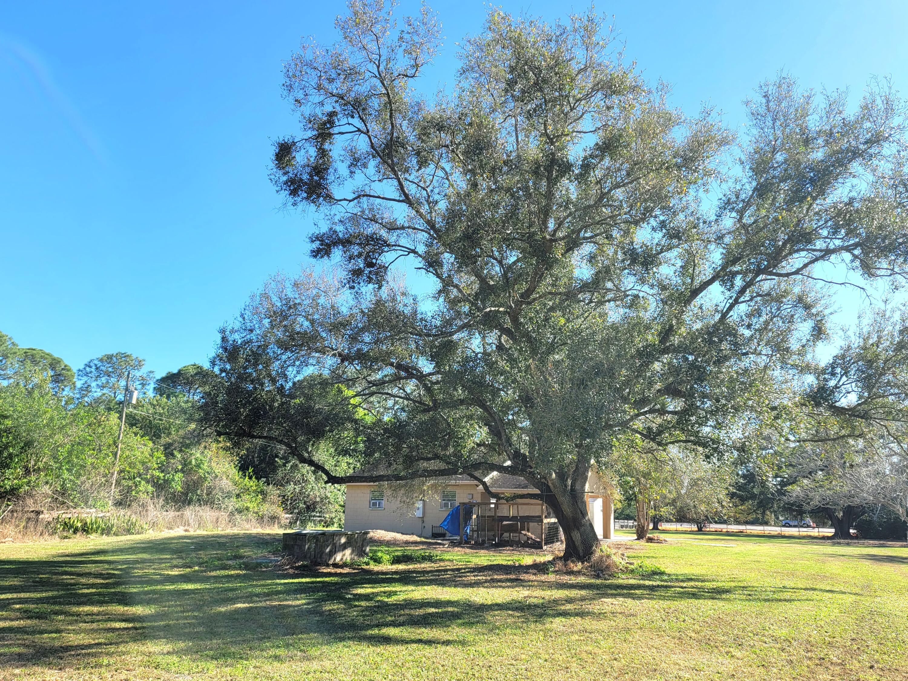 4362 West Midway Road Fort Pierce, FL 34981 - Photo 30 of 31 a view of outdoor space with swimming pool and trees in the background