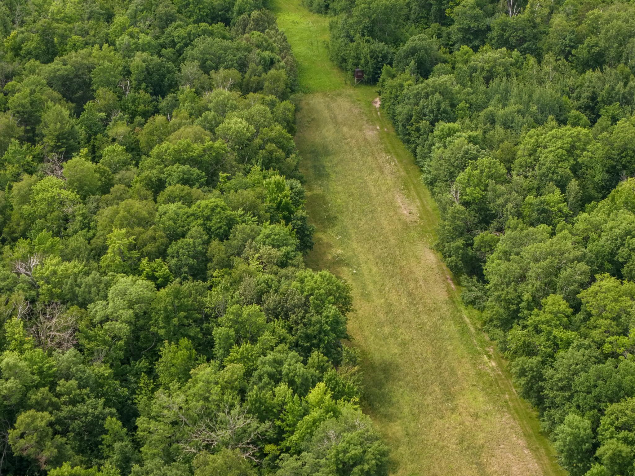 80-acres Pike Bay Loop Road Northwest Cass Lake, MN 56633 - Photo 10 of 27