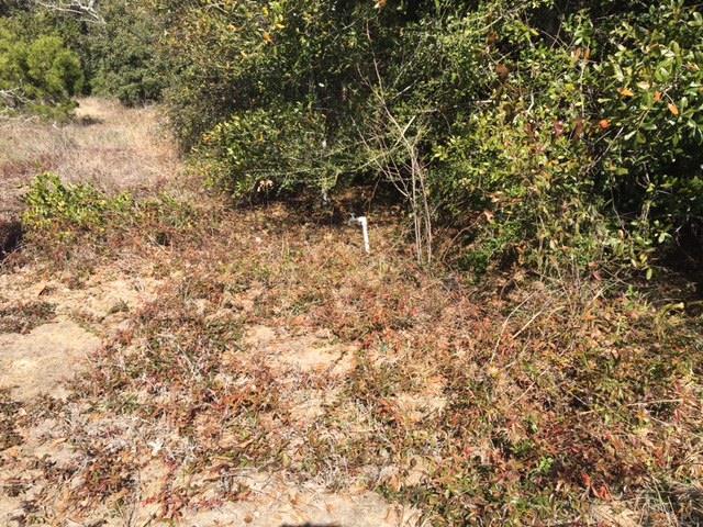 1679 Joybrook Road Navarre, FL 32566 - Photo 9 of 24 Gallery Image 9