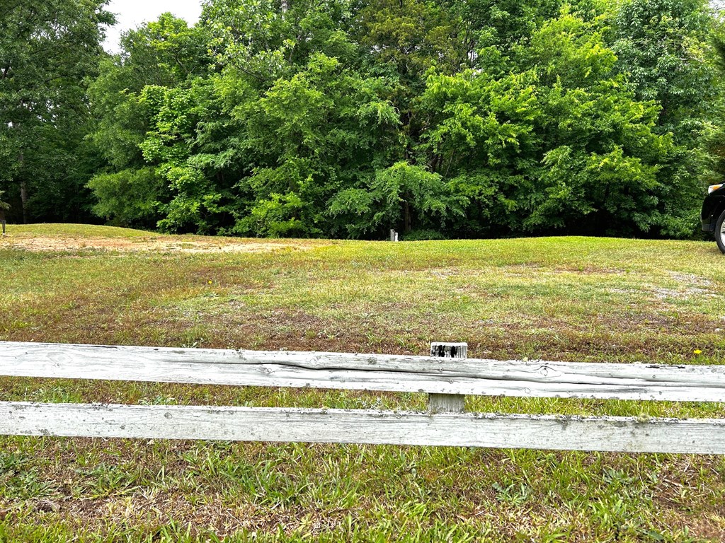 1770 Ekom Beach Road Laurens, SC 29360 - Photo 12 of 14 Vacant Lot