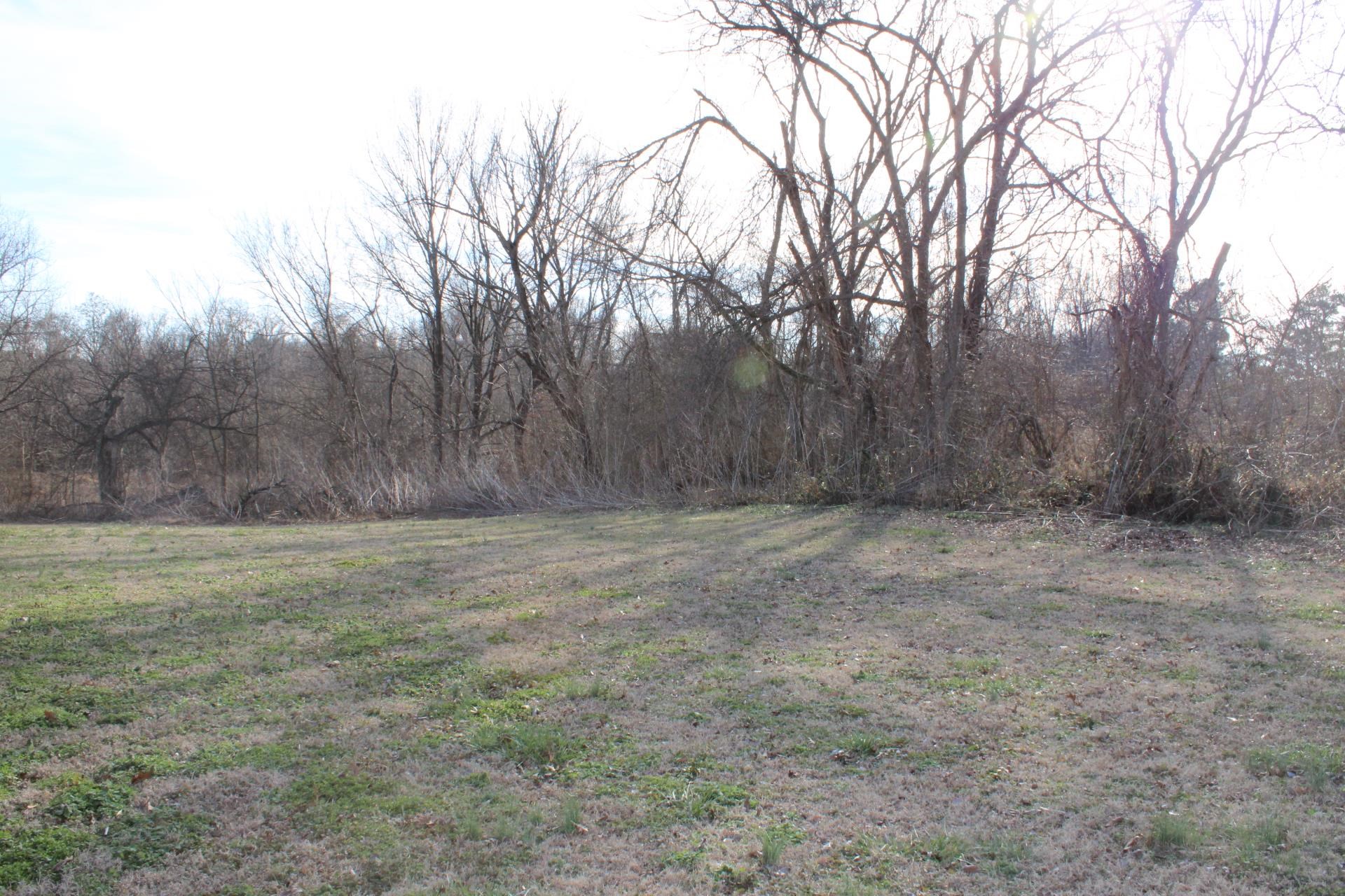 5787 Richardson Landing Road Drummonds, TN 38023 - Photo 36 of 37 a view of a yard with an trees