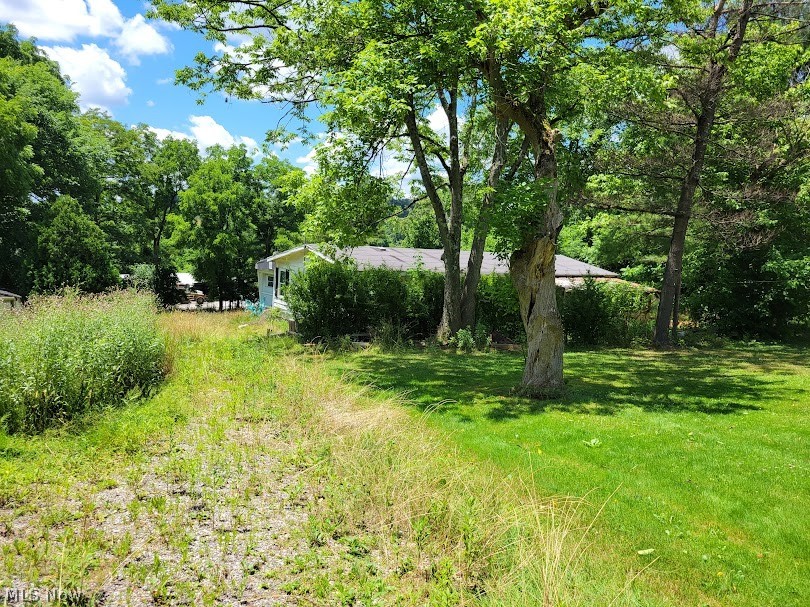 71728 Colerain Road Bridgeport, OH 43912 - Photo 2 of 4 View of yard