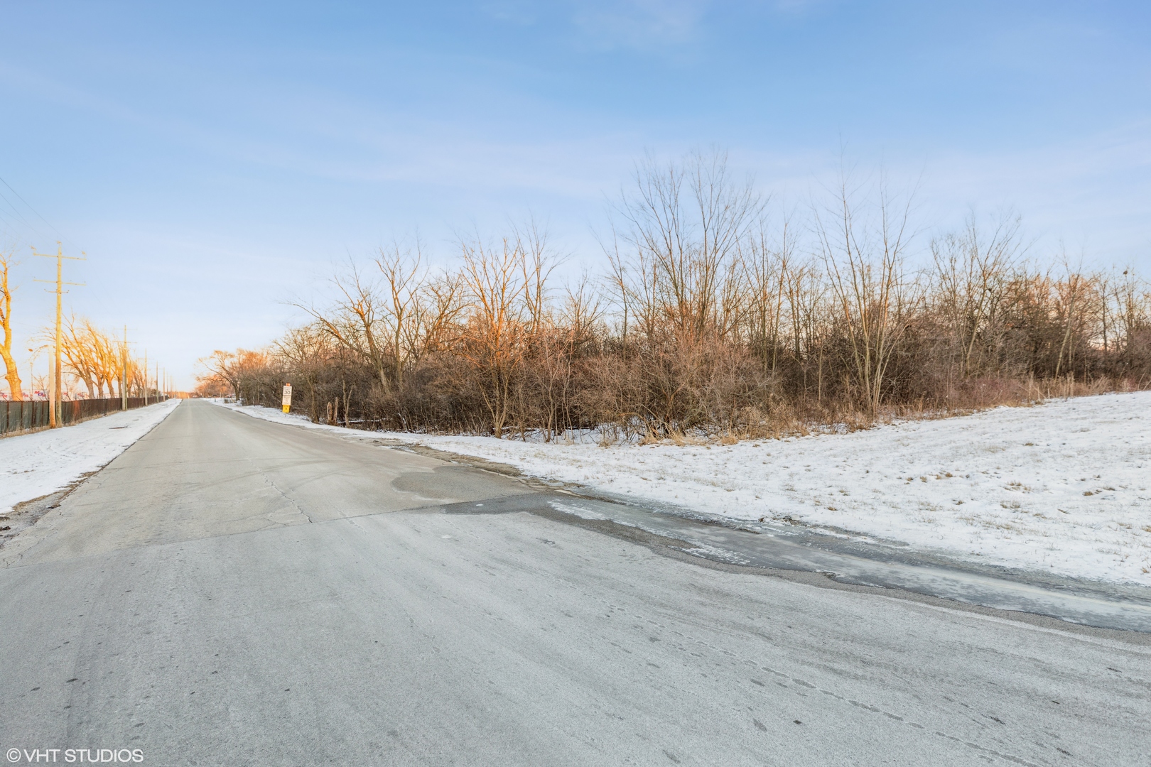 a view of a dry yard with trees