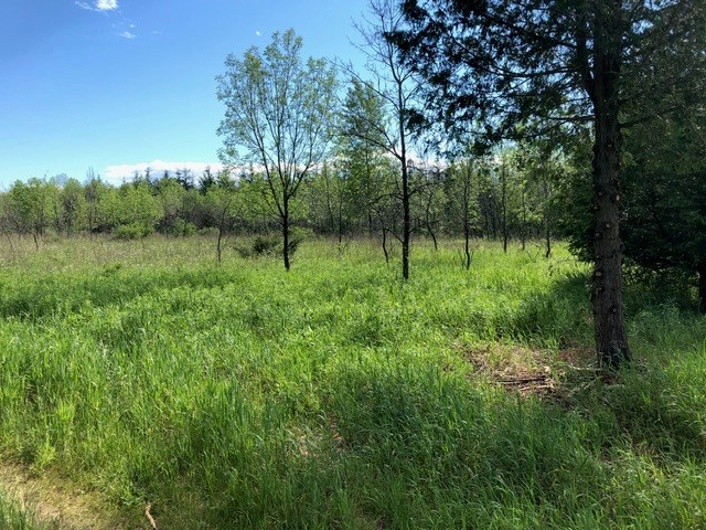 Lot 3 Plum Bottom Road Egg Harbor, WI 54209 - Photo 4 of 4