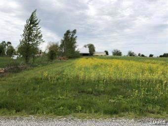 117 Spring Court Worden, IL 62097 - Photo 2 of 3