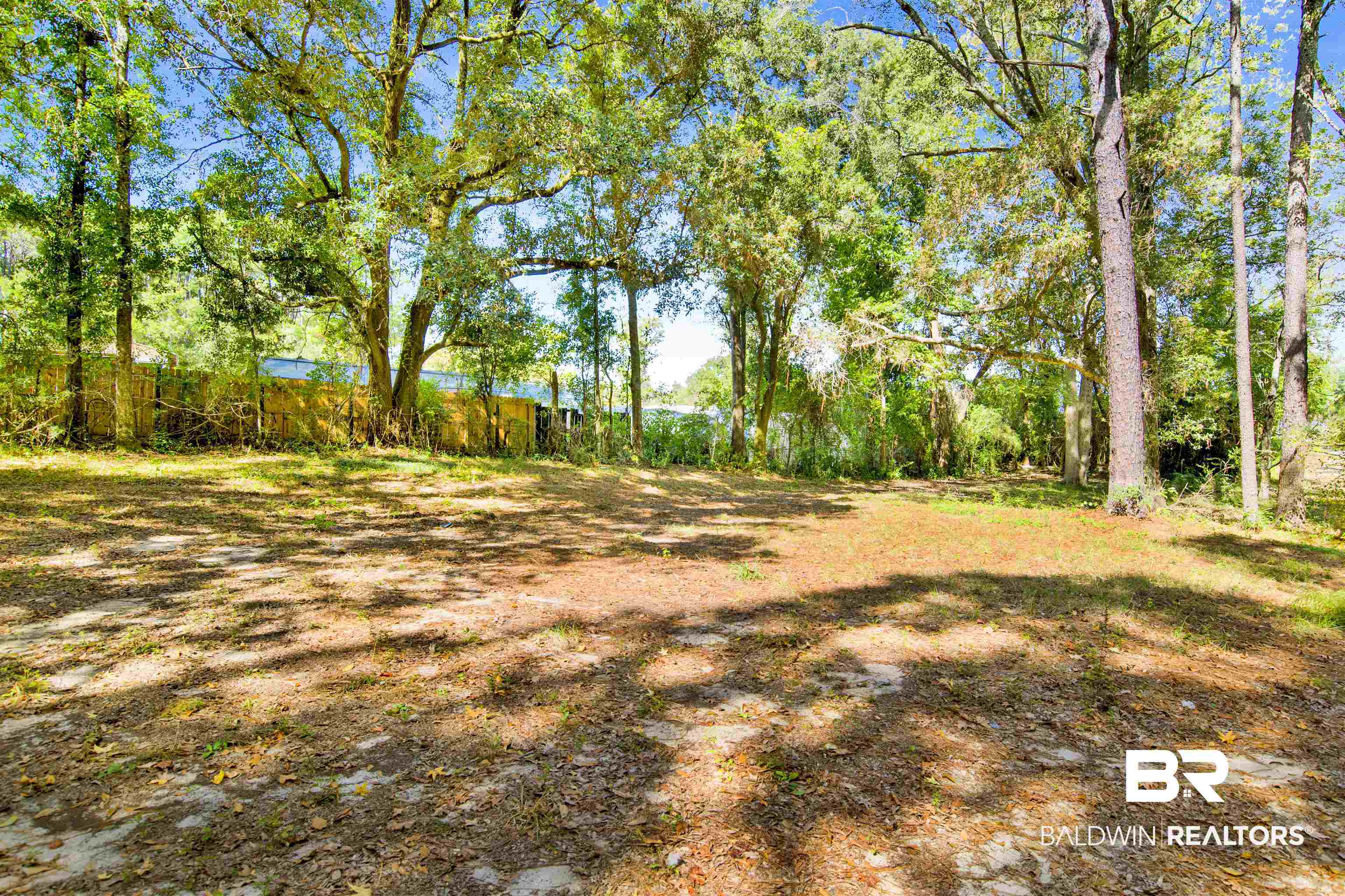 7623 Old Shell Road Mobile, AL 36608 - Photo 3 of 12 View of yard