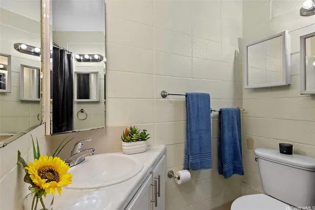 a bathroom with a sink toilet and mirror