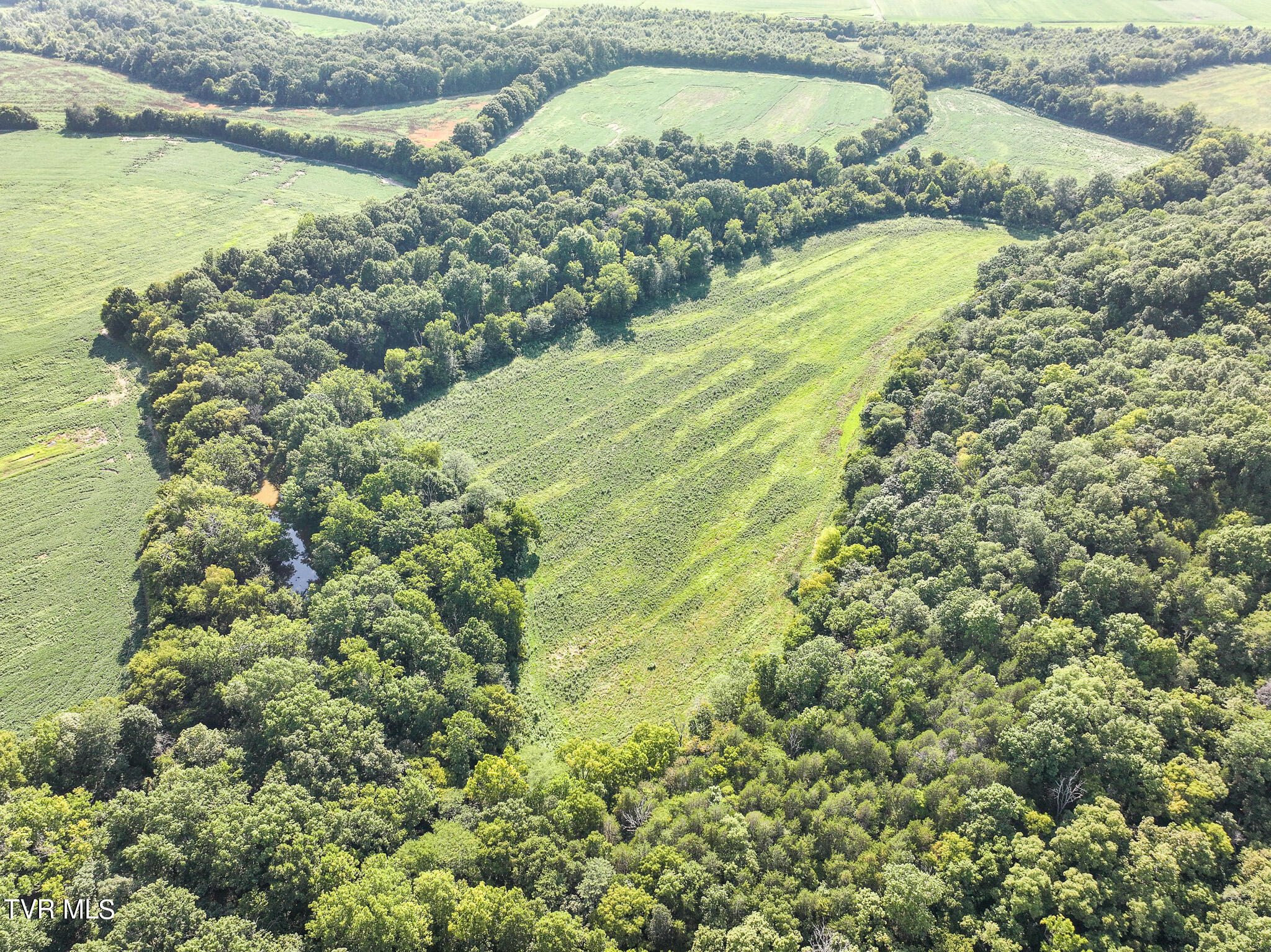59.06-acre Flea Ridge Road Mohawk, TN 37810 - Photo 11 of 40 DJI_20240811051414_0958_D