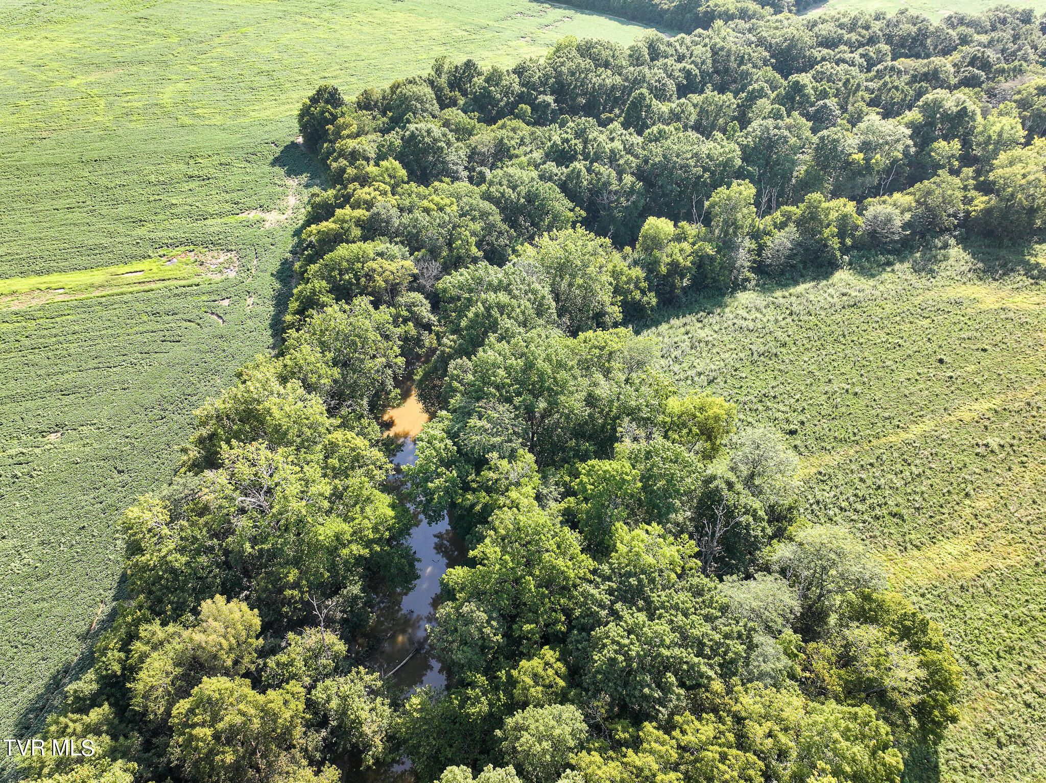 59.06-acre Flea Ridge Road Mohawk, TN 37810 - Photo 12 of 40 DJI_20240811051454_0960_D