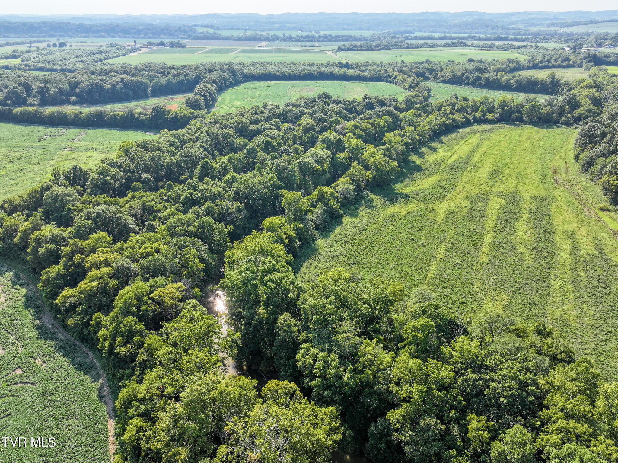 59.06-acre Flea Ridge Road Mohawk, TN 37810 - Photo 13 of 40 DJI_20240811051527_0962_D