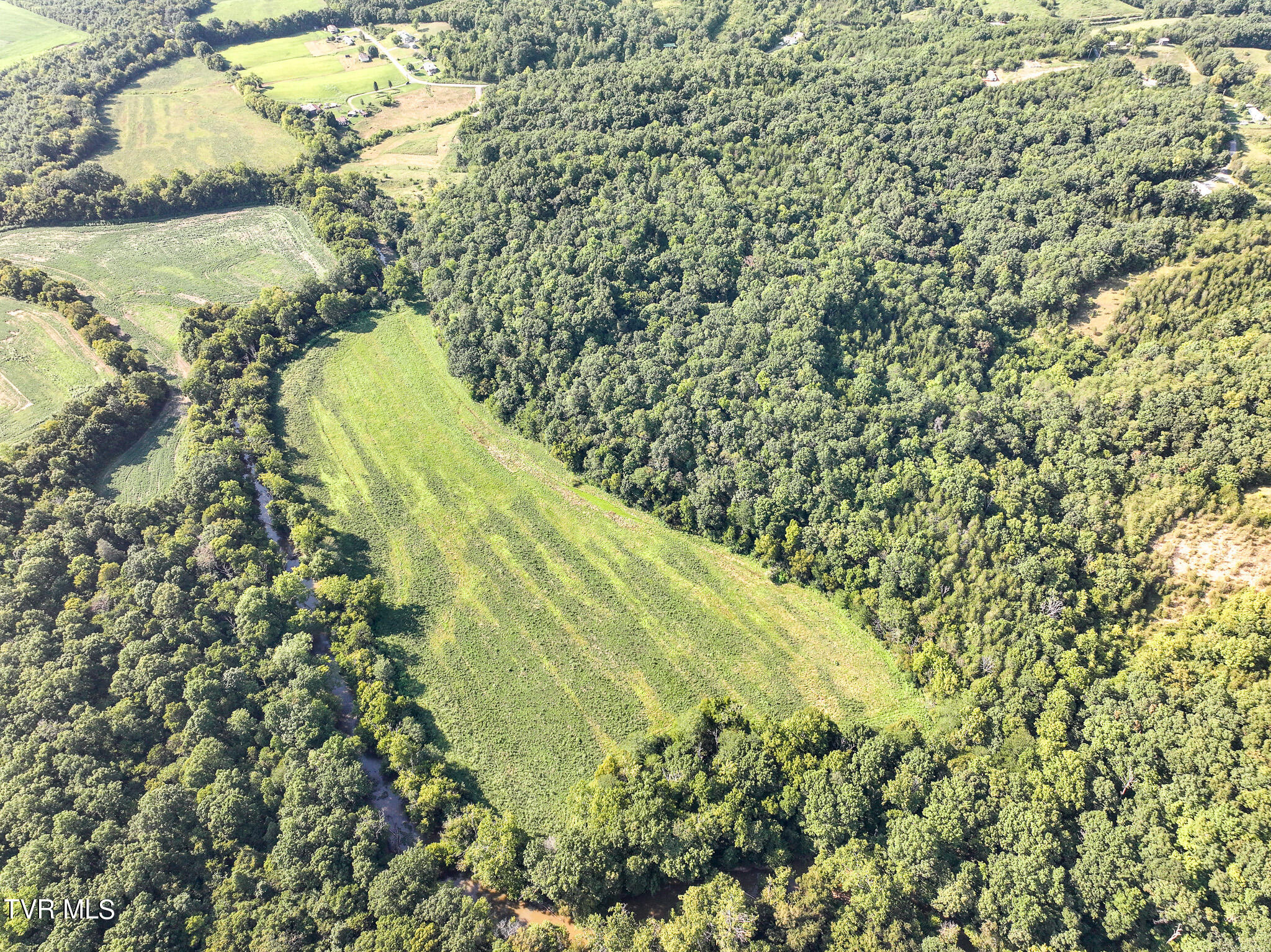 59.06-acre Flea Ridge Road Mohawk, TN 37810 - Photo 14 of 40 DJI_20240811051611_0966_D