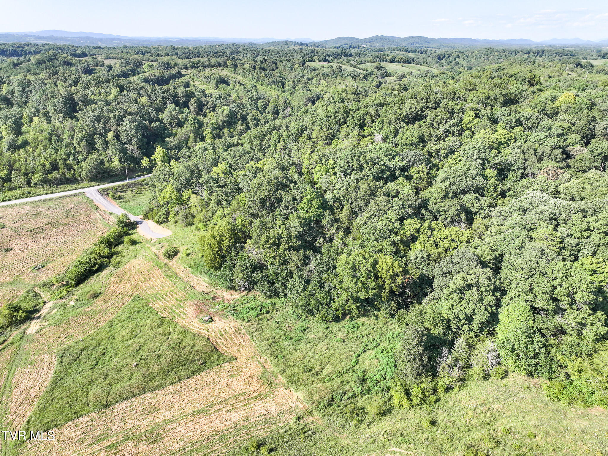 59.06-acre Flea Ridge Road Mohawk, TN 37810 - Photo 15 of 40 DJI_20240811051708_0973_D