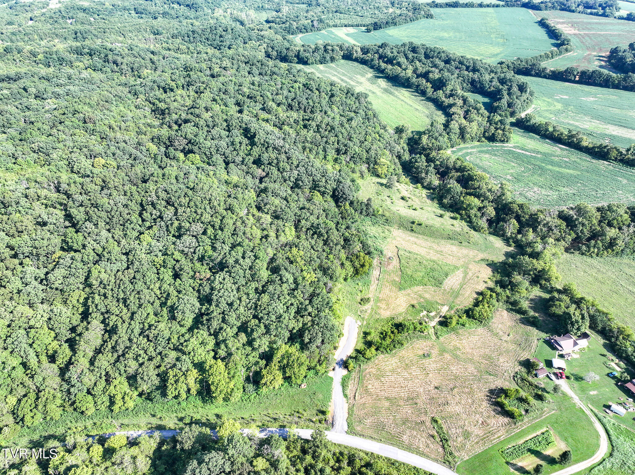 59.06-acre Flea Ridge Road Mohawk, TN 37810 - Photo 16 of 40 DJI_20240811051803_0978_D