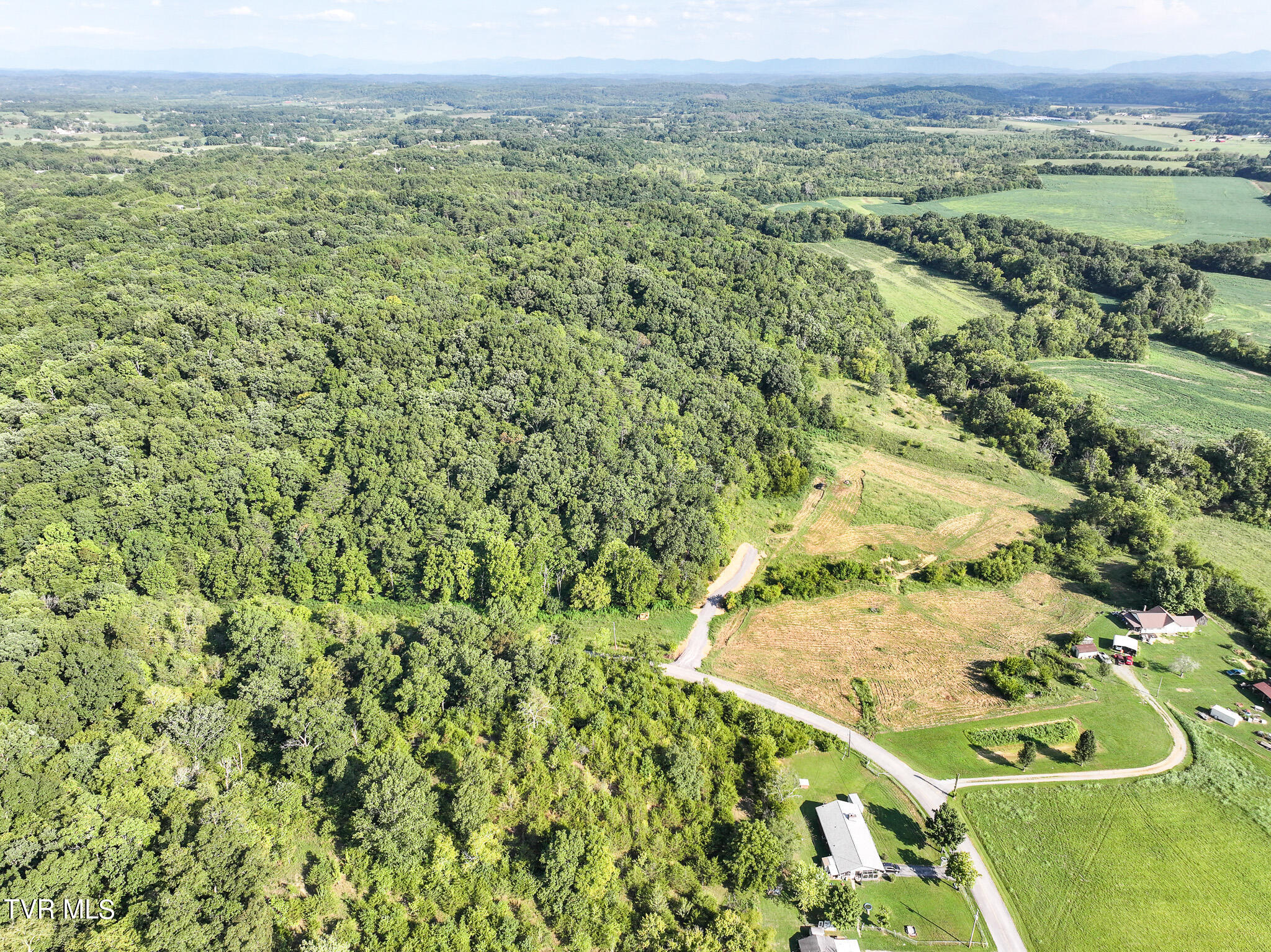 59.06-acre Flea Ridge Road Mohawk, TN 37810 - Photo 17 of 40 DJI_20240811052703_0982_D