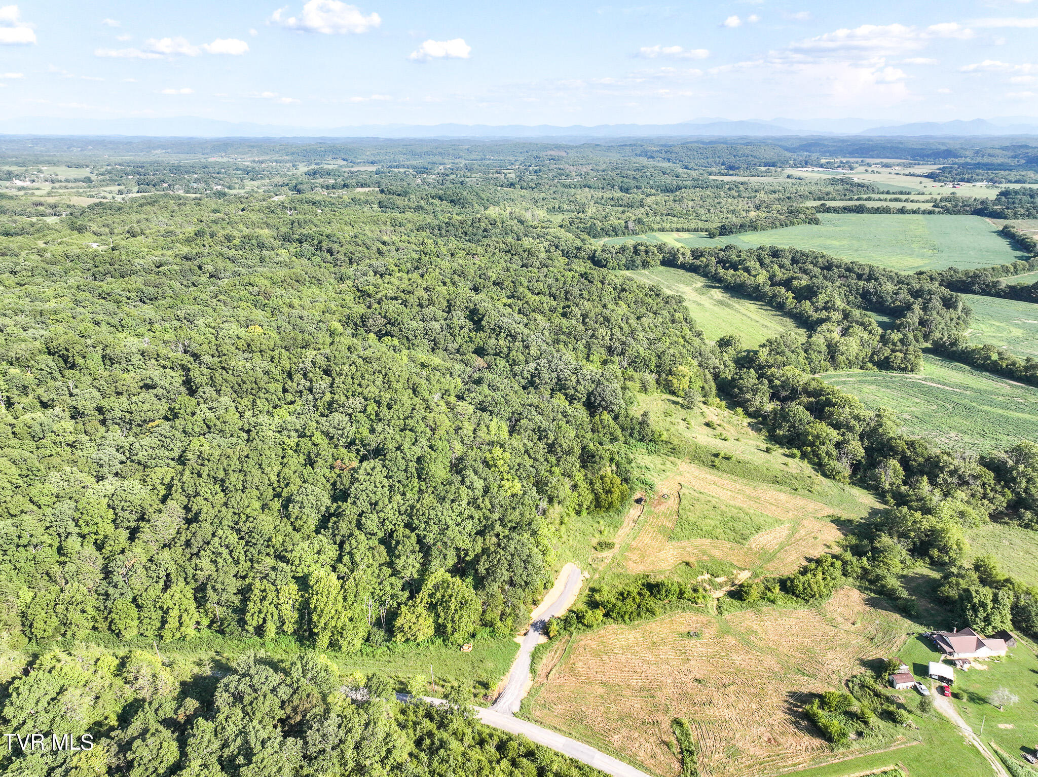 59.06-acre Flea Ridge Road Mohawk, TN 37810 - Photo 18 of 40 DJI_20240811053350_0986_D