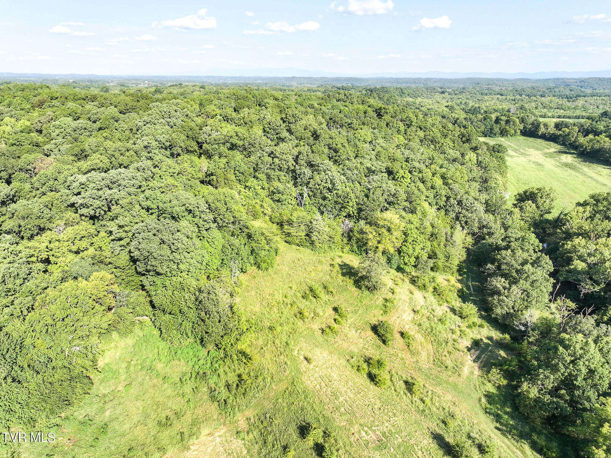 59.06-acre Flea Ridge Road Mohawk, TN 37810 - Photo 19 of 40 DJI_20240811053413_0989_D