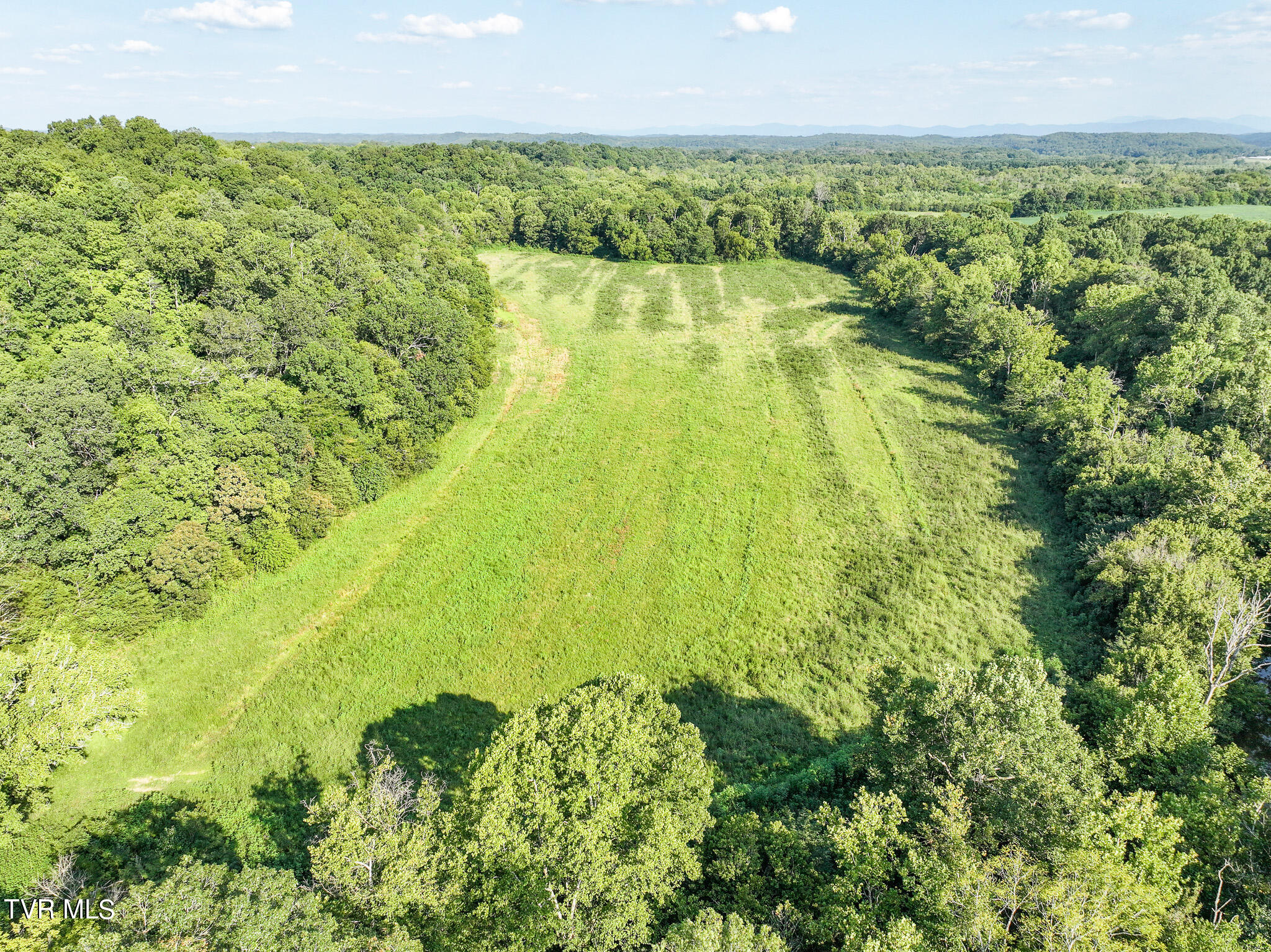 59.06-acre Flea Ridge Road Mohawk, TN 37810 - Photo 20 of 40 DJI_20240811053440_0991_D