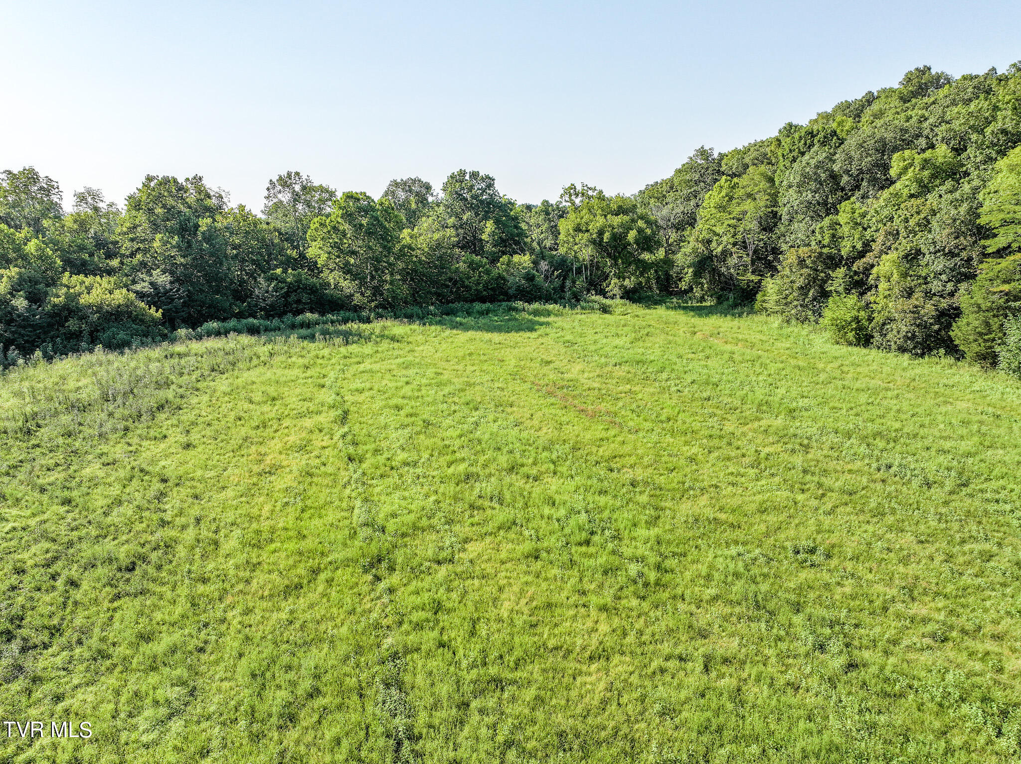 59.06-acre Flea Ridge Road Mohawk, TN 37810 - Photo 22 of 40 DJI_20240811053511_0994_D